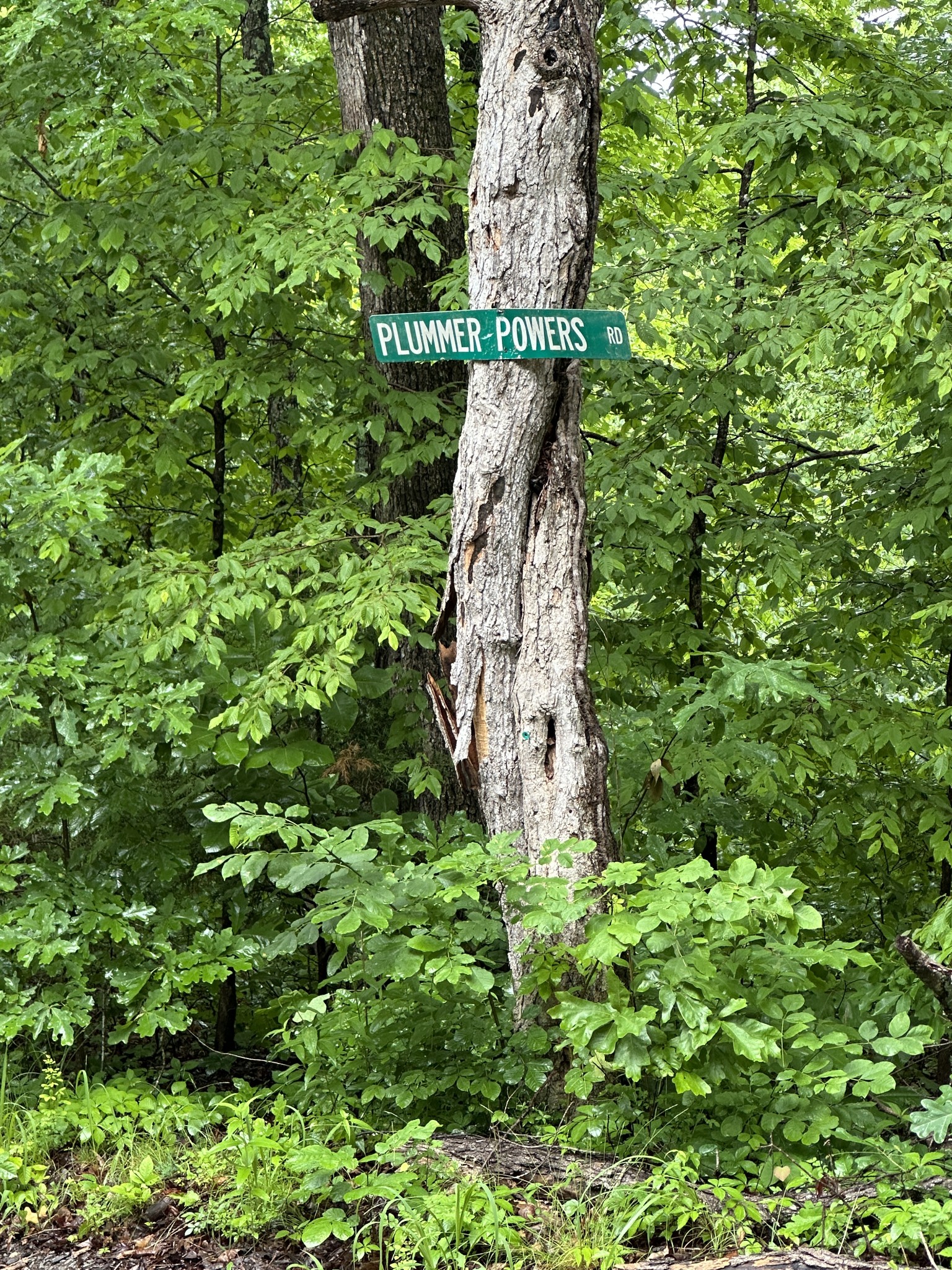 0 Gunson Ridge Road Cumberland City TN 37050