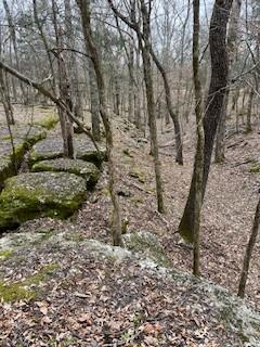 9910 Patterson Road Rockvale TN 37153