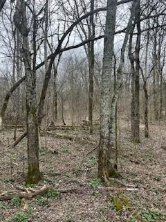 9910 Patterson Road Rockvale TN 37153