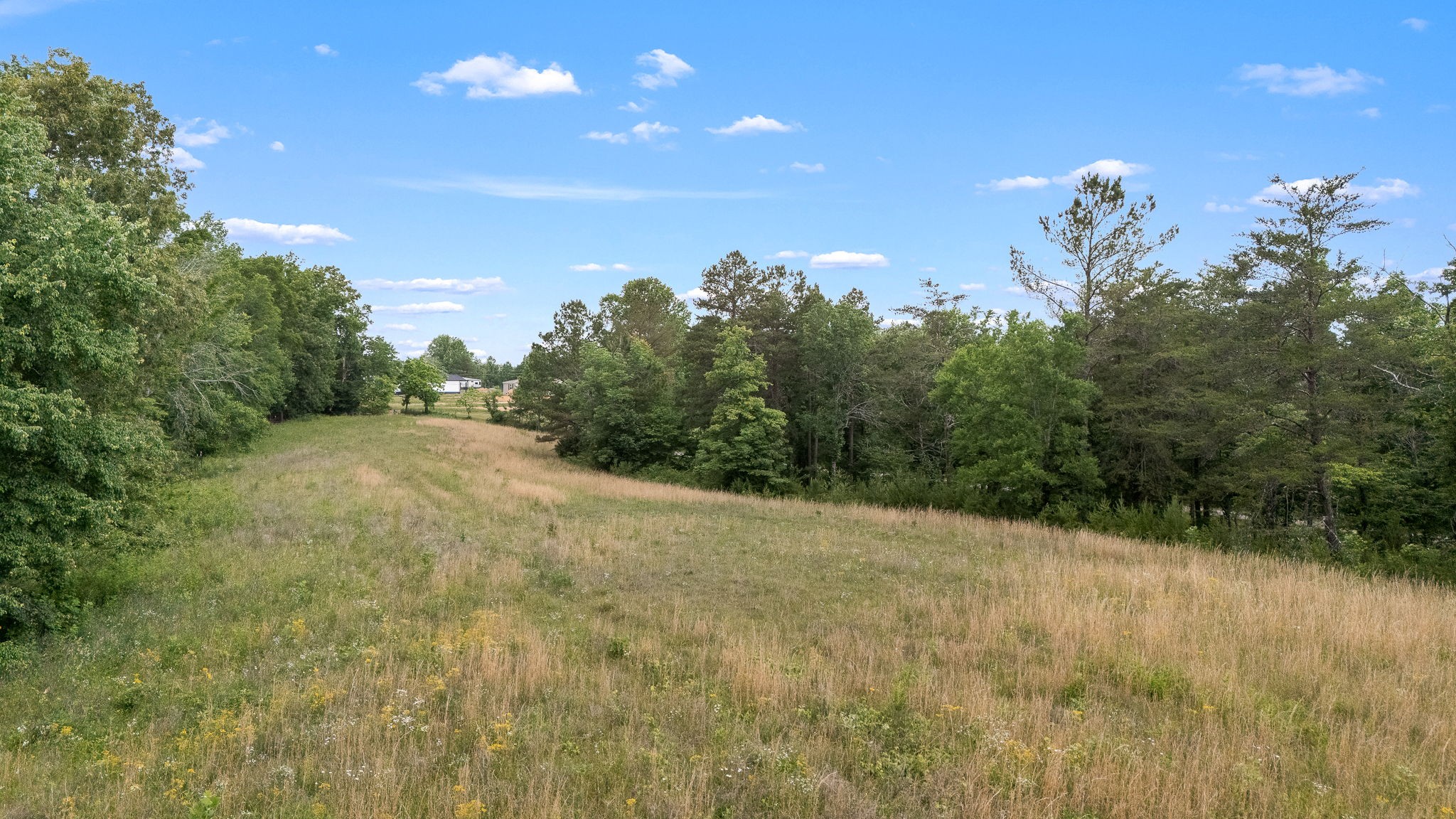 0 Salem Road Mc Minnville TN 37110