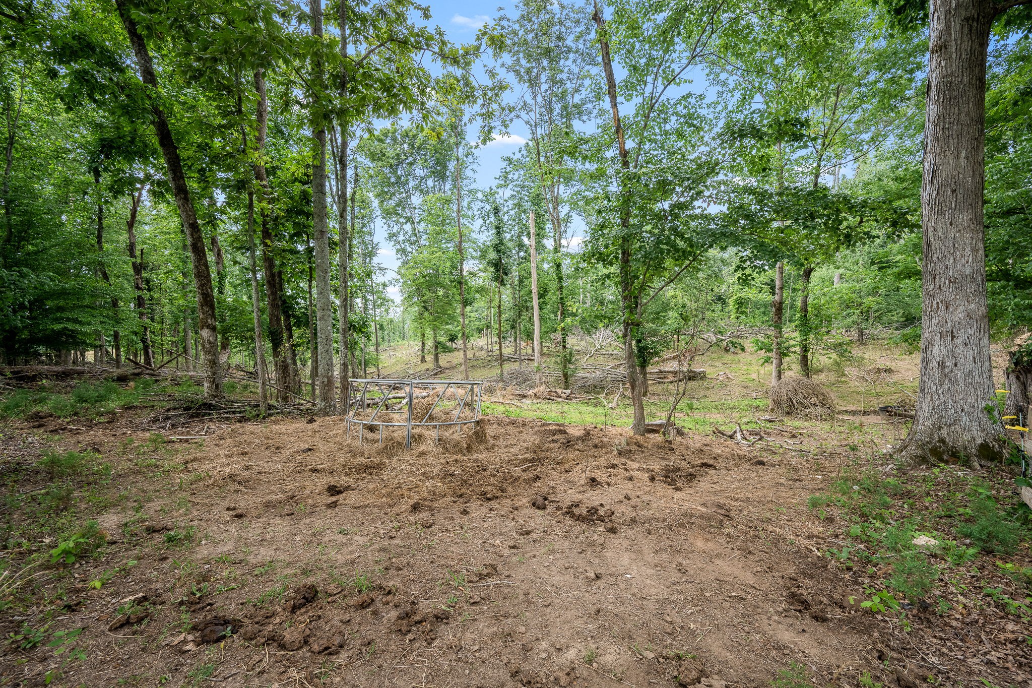 0 Salem Road Mc Minnville TN 37110