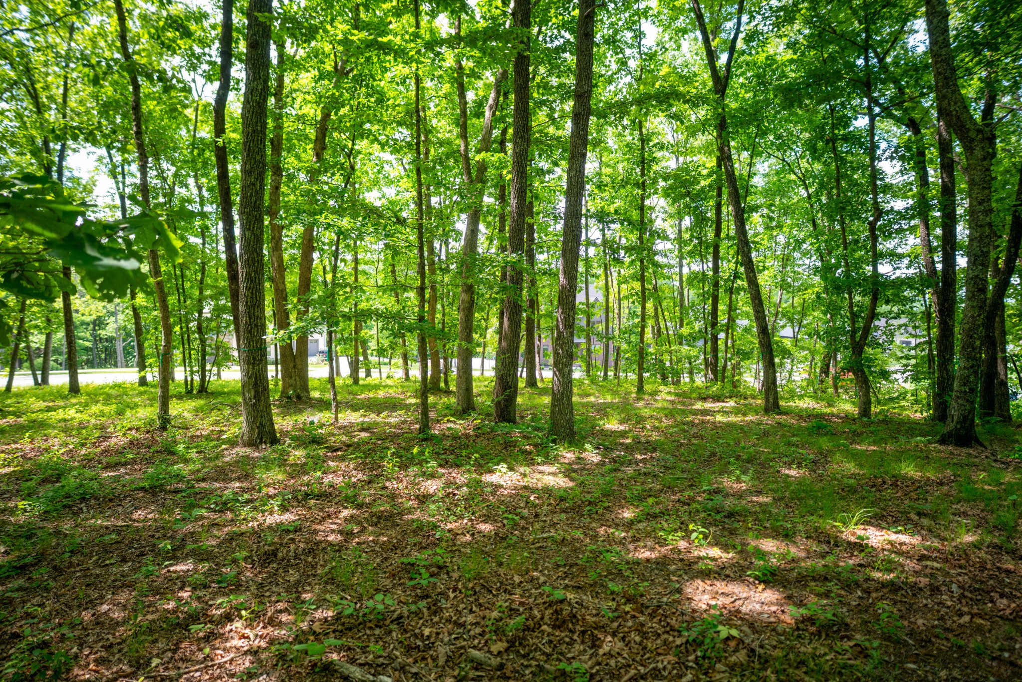 4562 Amethyst Road Chattanooga TN 37419