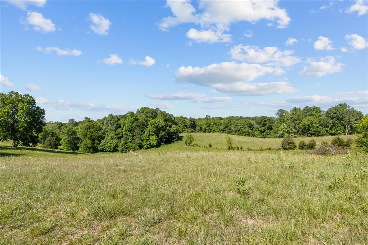 2440 Maple Grove Road Dickson TN 37055