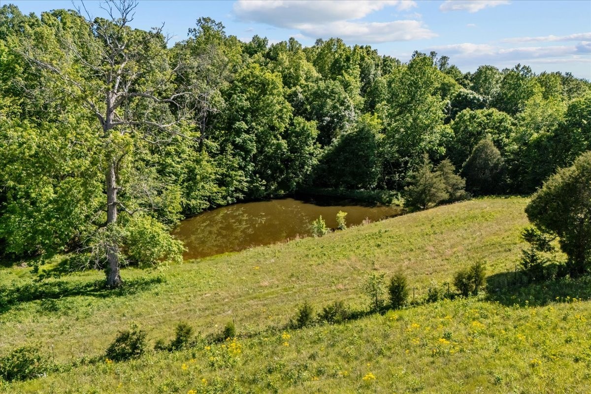 2440 Maple Grove Road Dickson TN 37055