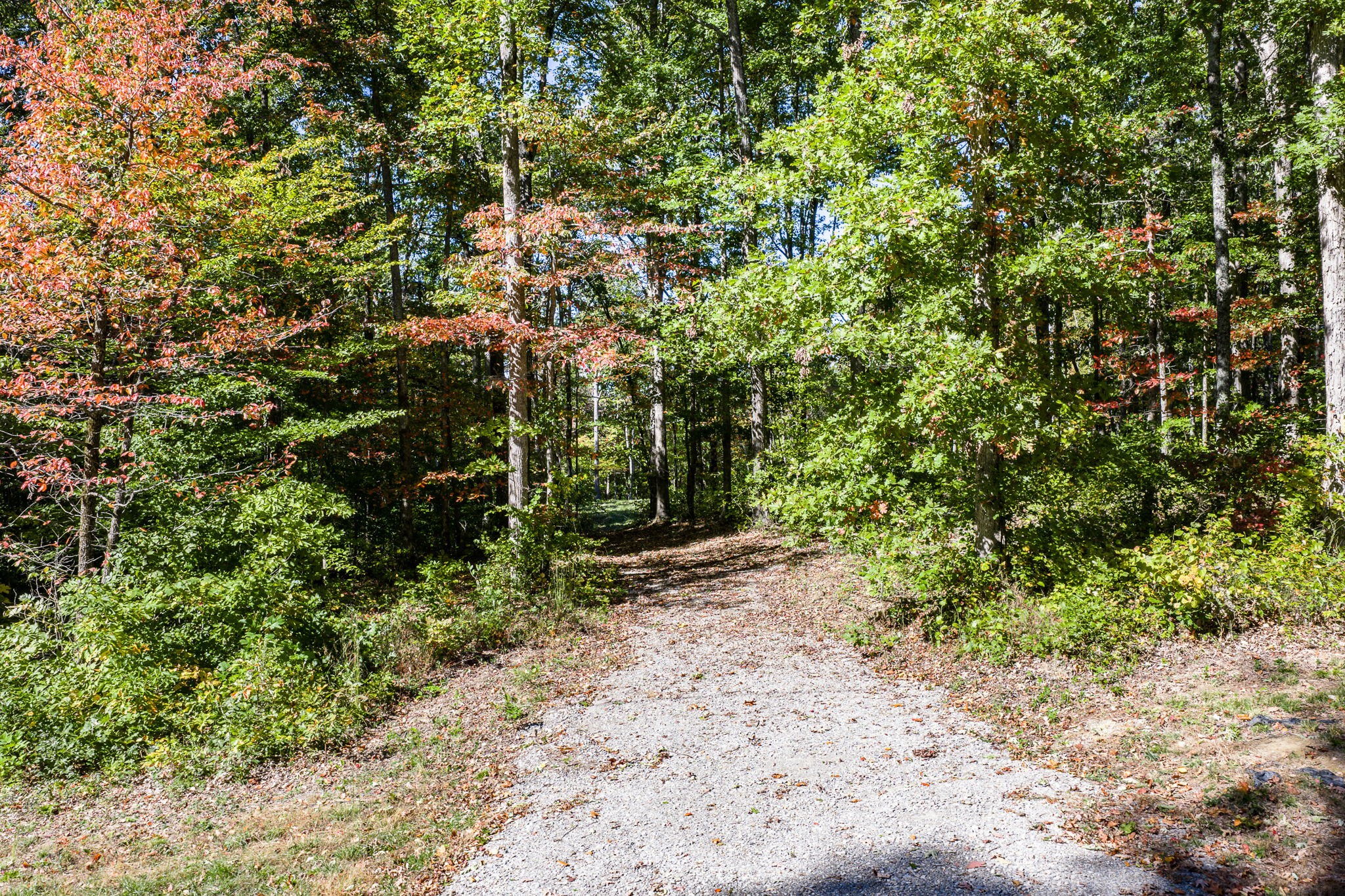 634 Cumberland Cove Road Monterey TN 38574