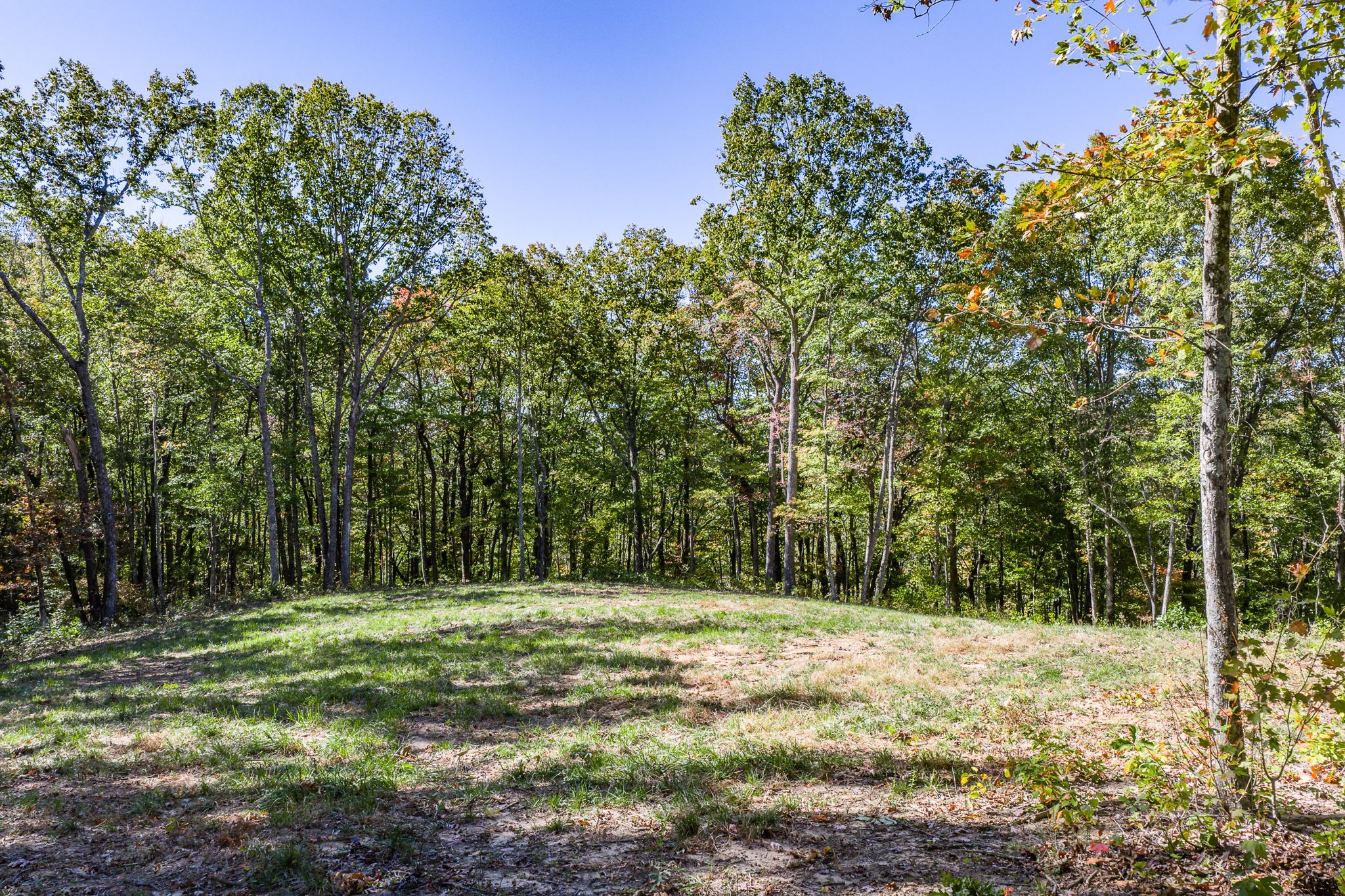 634 Cumberland Cove Road Monterey TN 38574