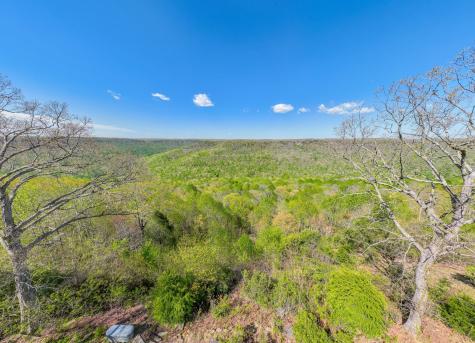 1927 Laurel Lake Drive Monteagle TN 37356