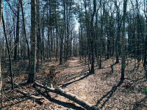 73 Twilight Point Monteagle TN 37356