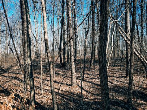 73 Twilight Point Monteagle TN 37356
