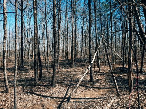 73 Twilight Point Monteagle TN 37356