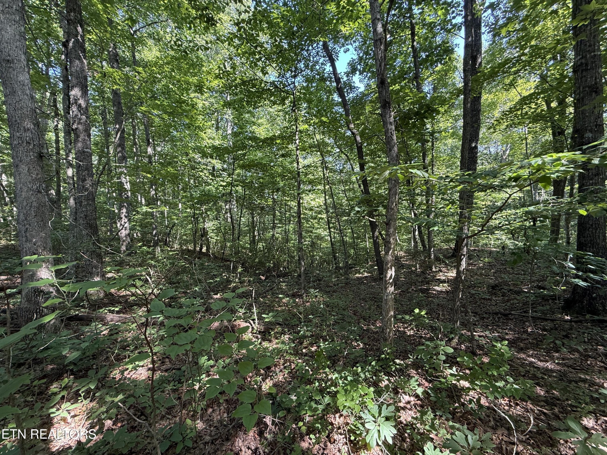 2 E Cove Road Monterey TN 38574