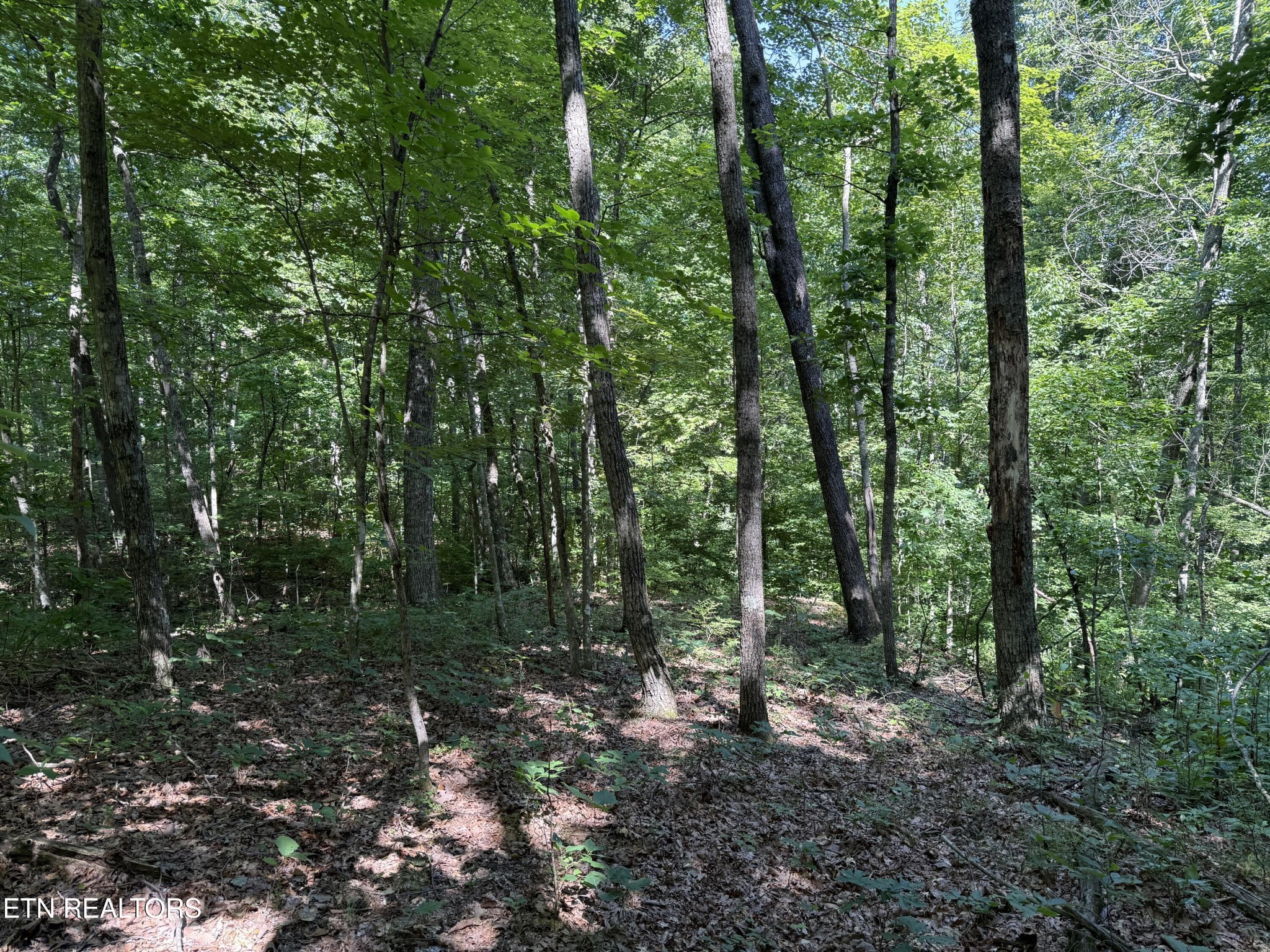 2 E Cove Road Monterey TN 38574