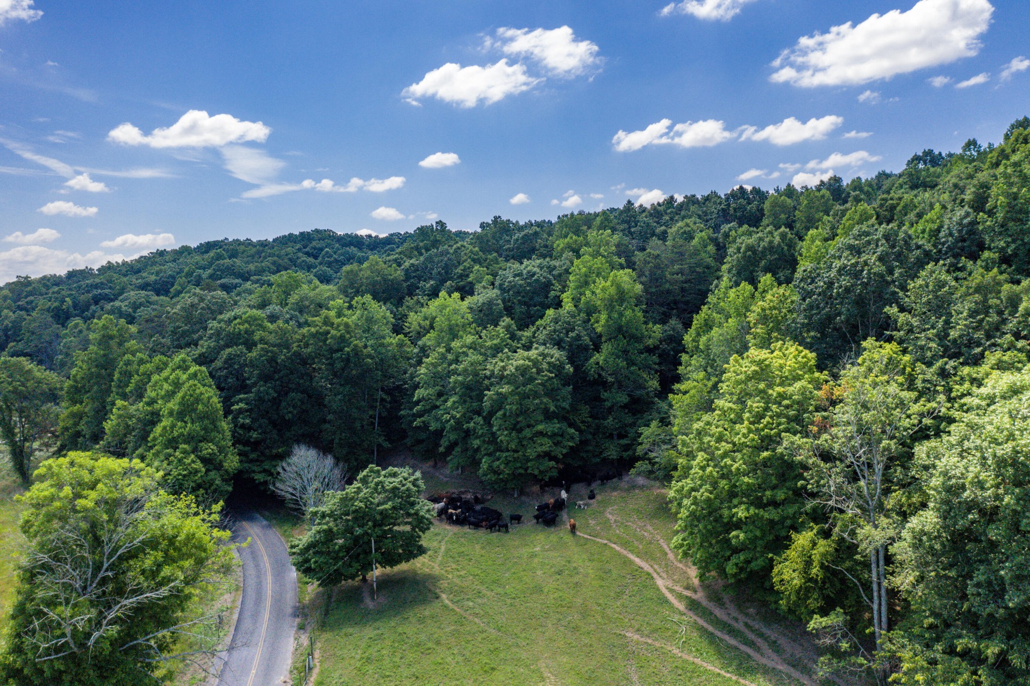 1636 White Oak Road, NW Cleveland TN 37312