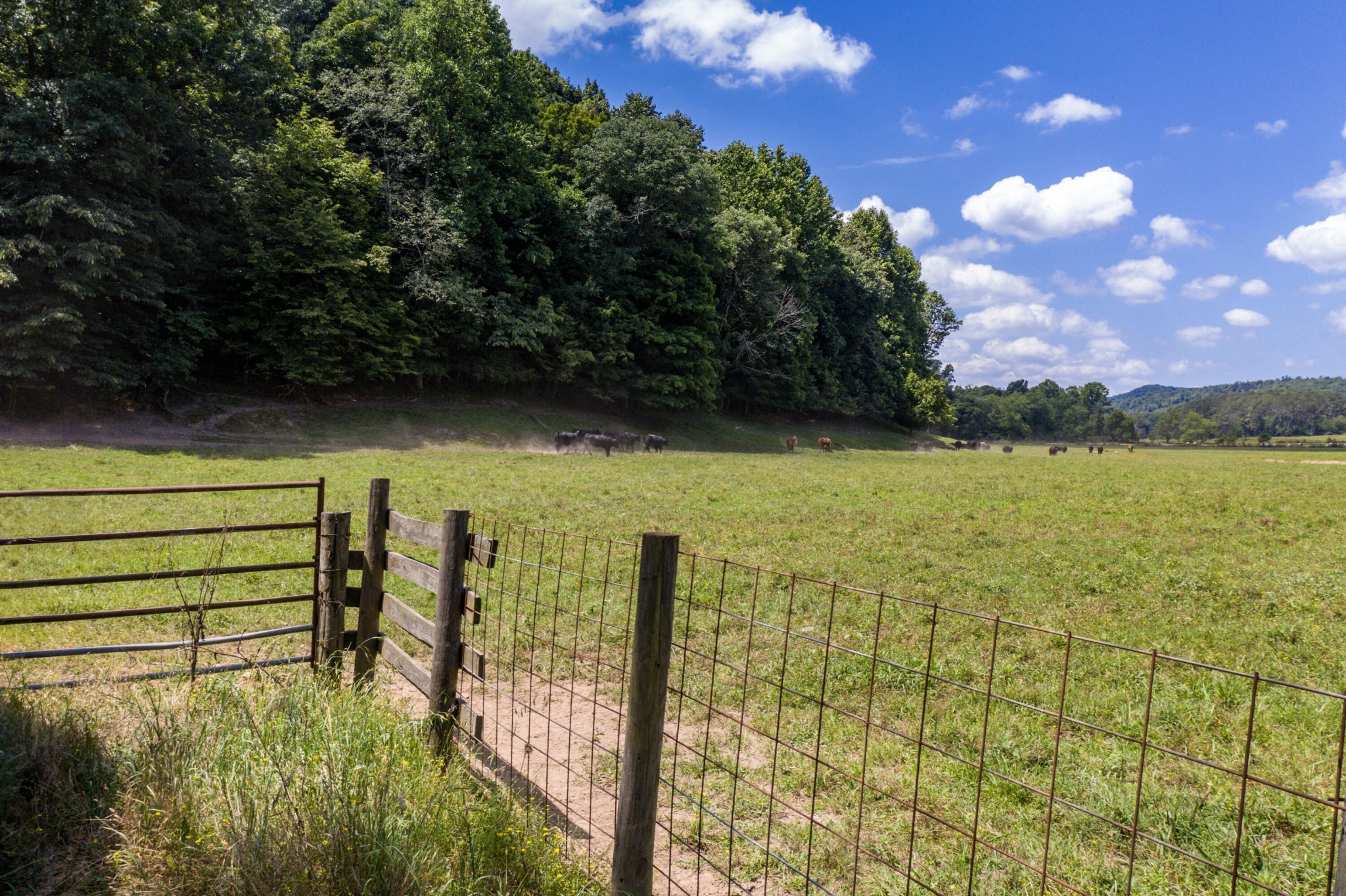 1636 White Oak Road, NW Cleveland TN 37312