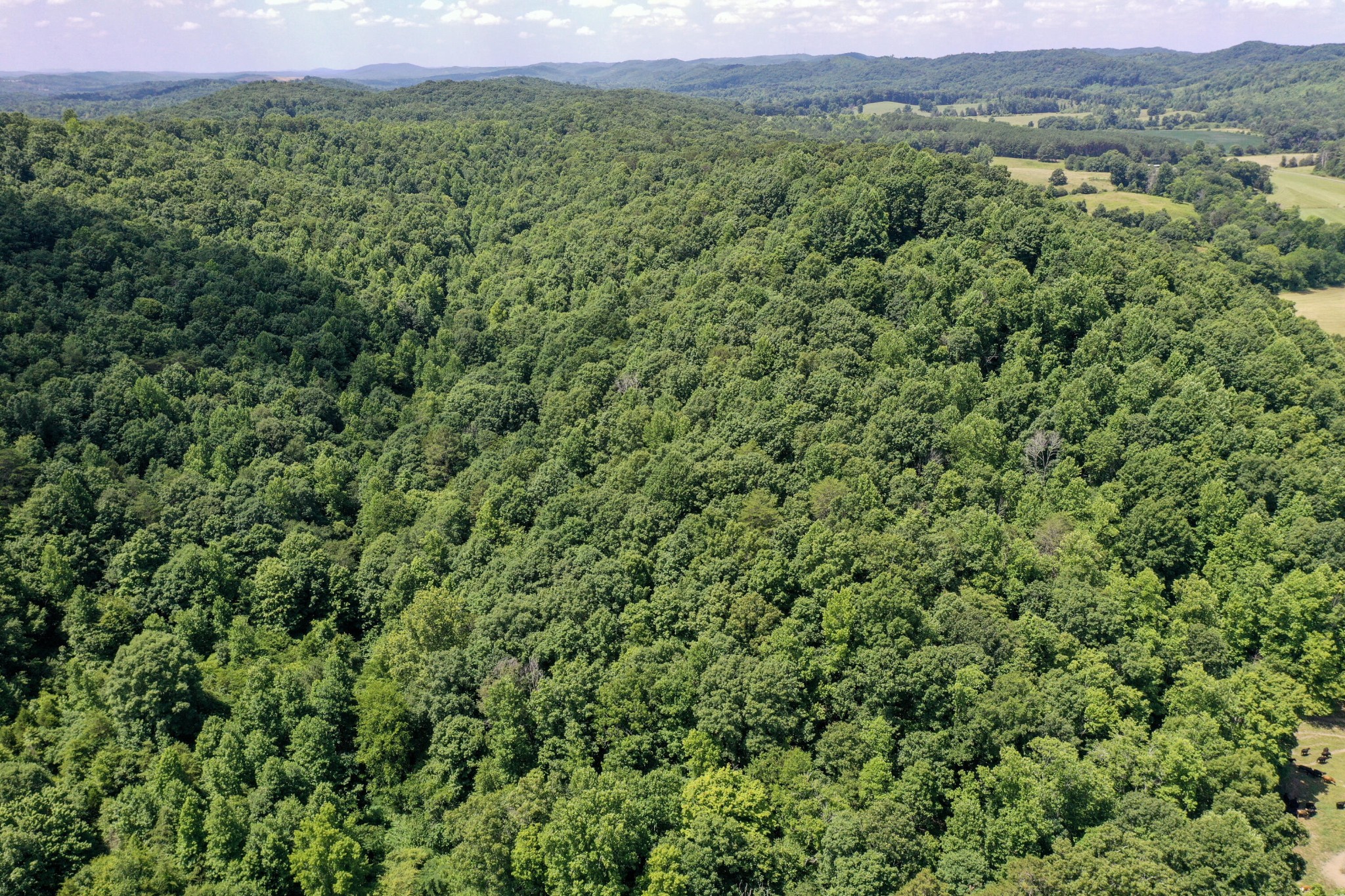 1636 White Oak Road, NW Cleveland TN 37312