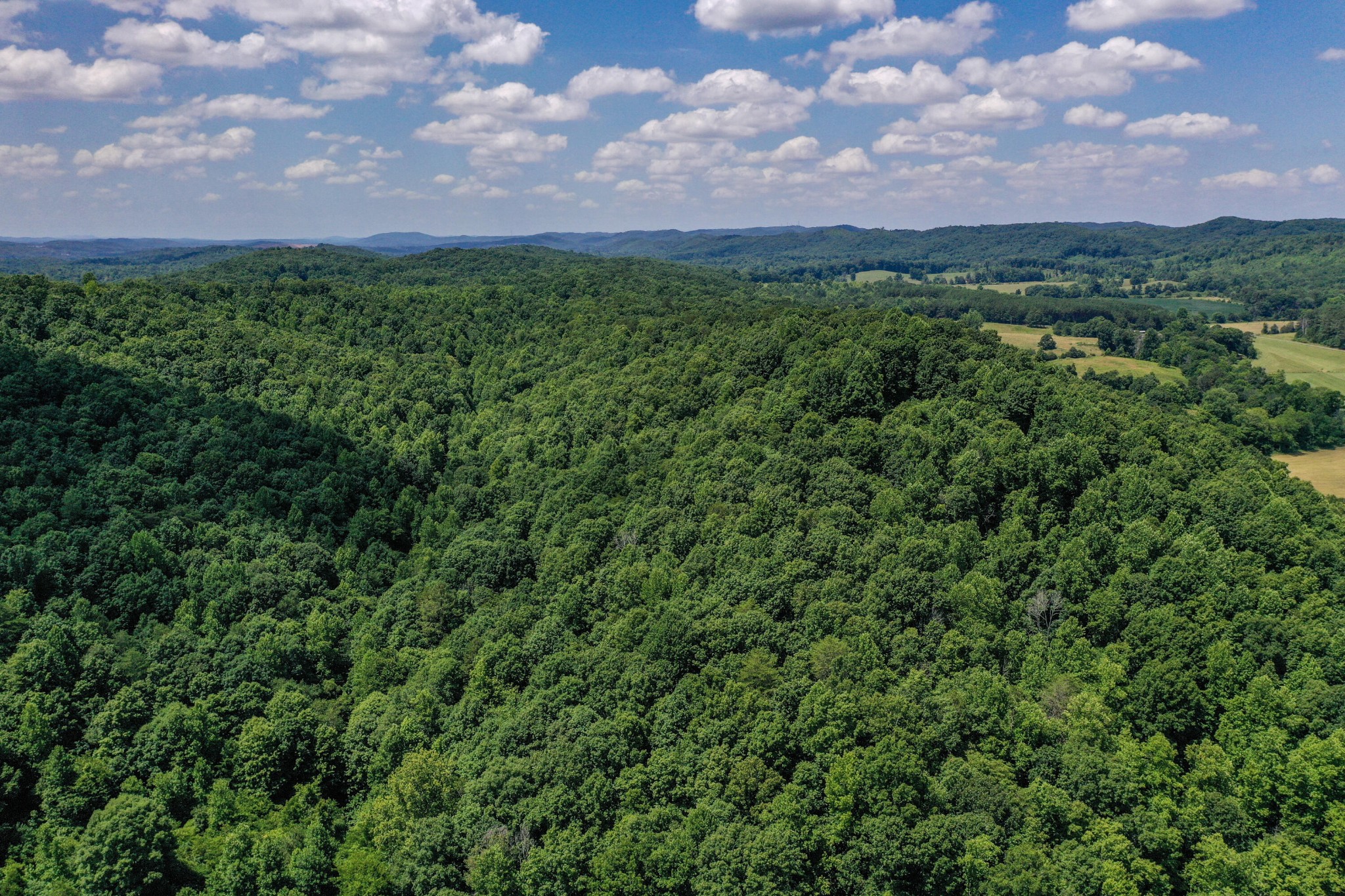 1636 White Oak Road, NW Cleveland TN 37312