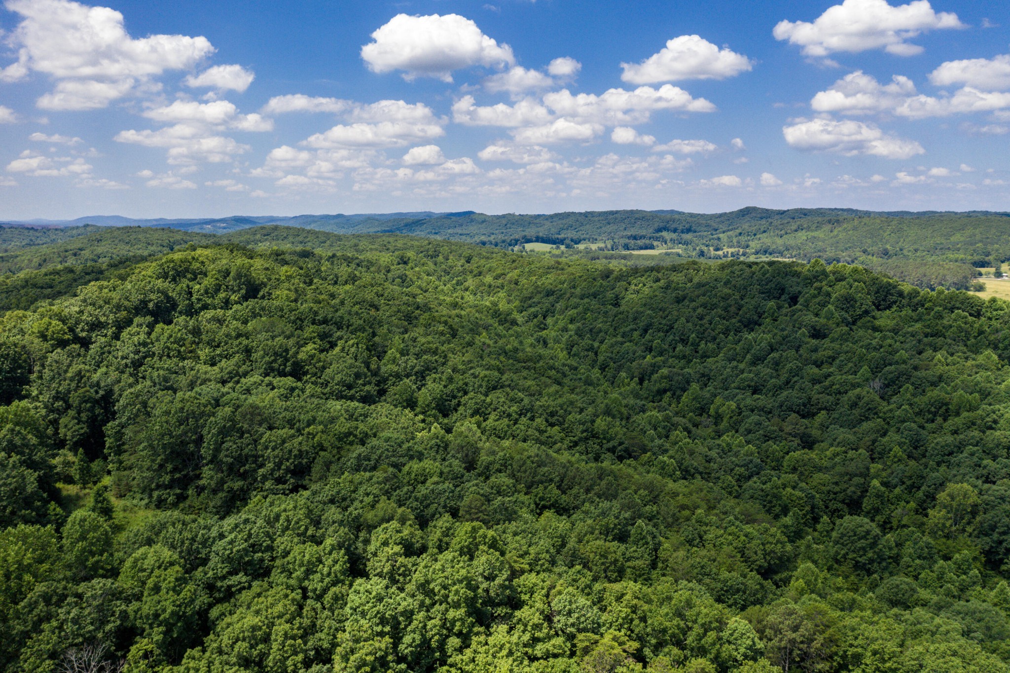 1636 White Oak Road, NW Cleveland TN 37312