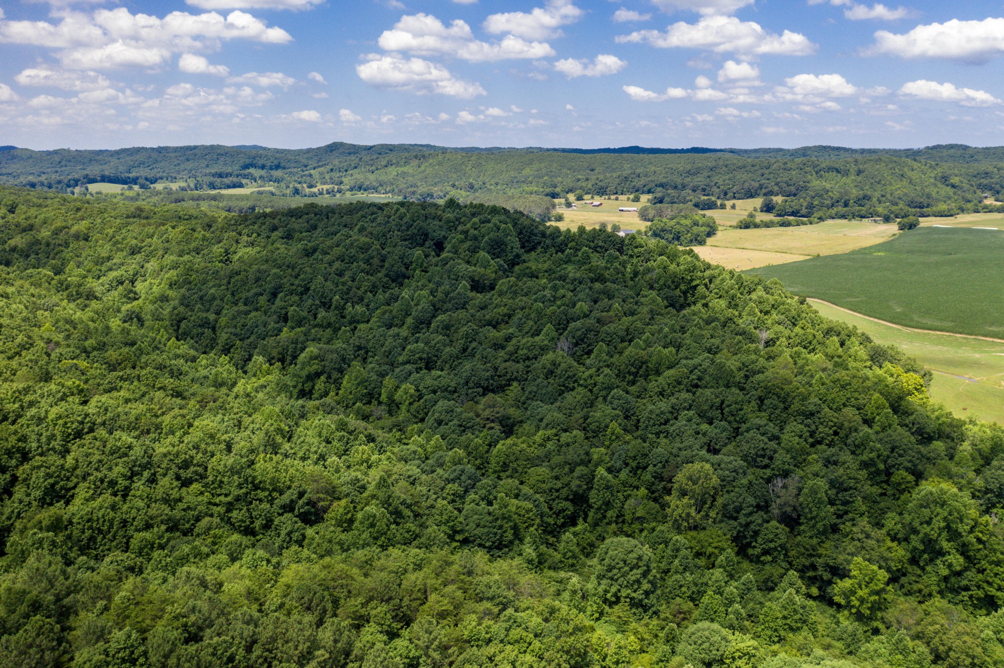 1636 White Oak Road, NW Cleveland TN 37312