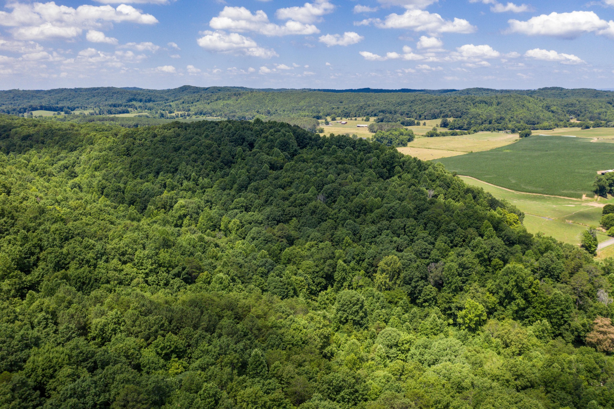 1636 White Oak Road, NW Cleveland TN 37312