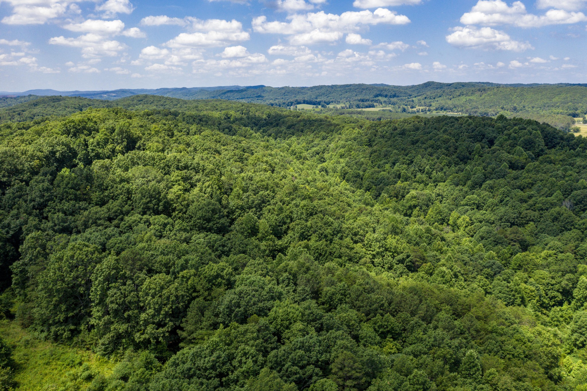 1636 White Oak Road, NW Cleveland TN 37312