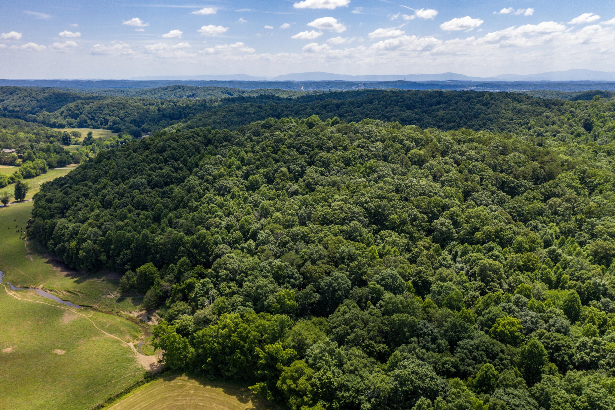 1636 White Oak Road, NW Cleveland TN 37312