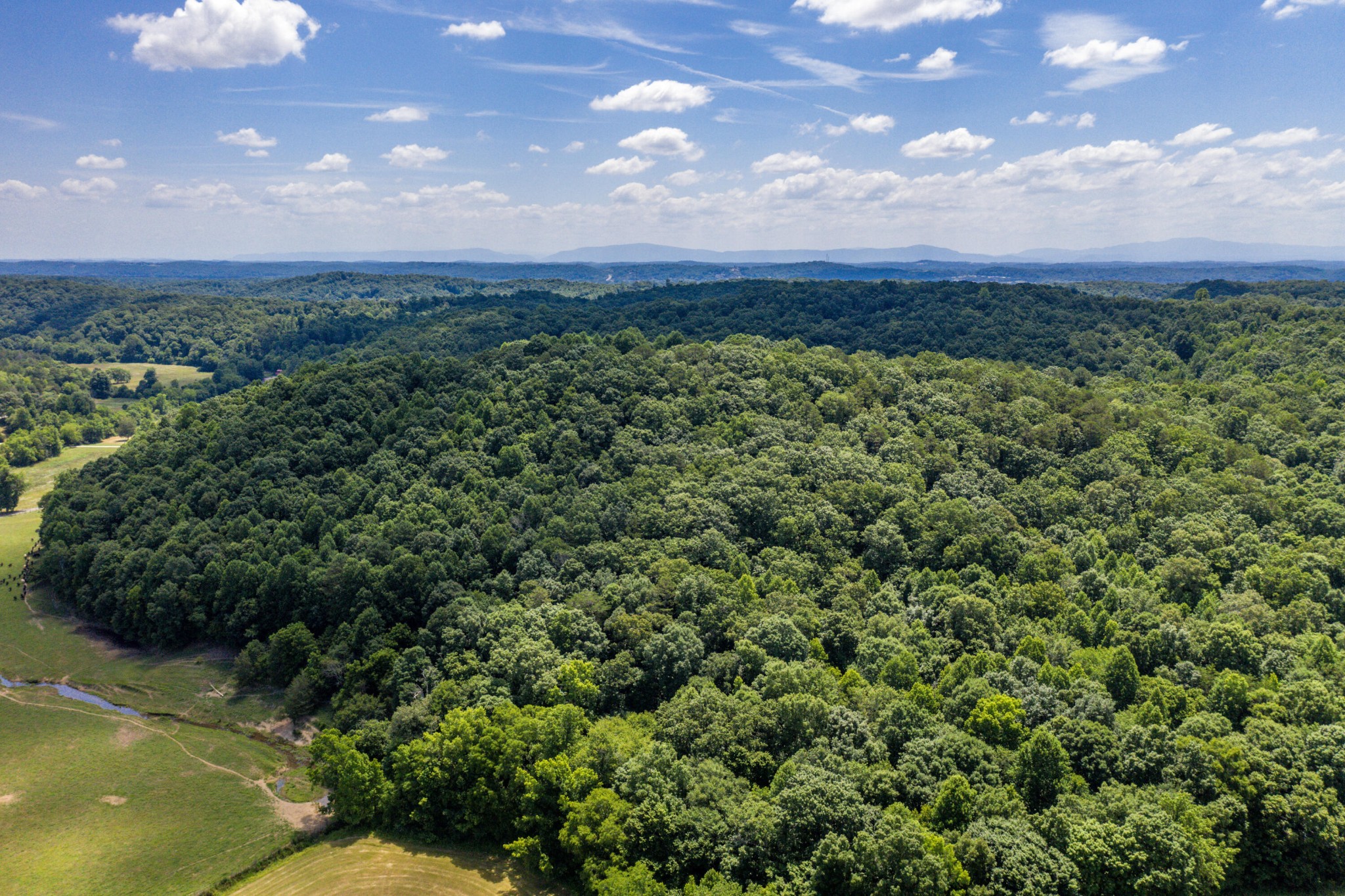 1636 White Oak Road, NW Cleveland TN 37312