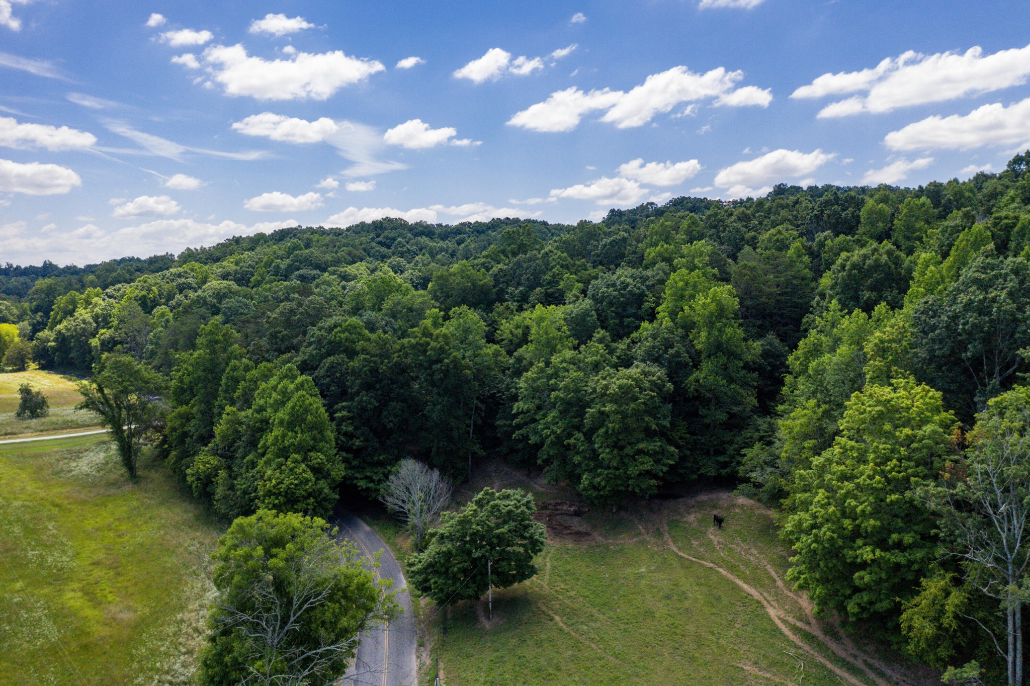 1636 White Oak Road, NW Cleveland TN 37312
