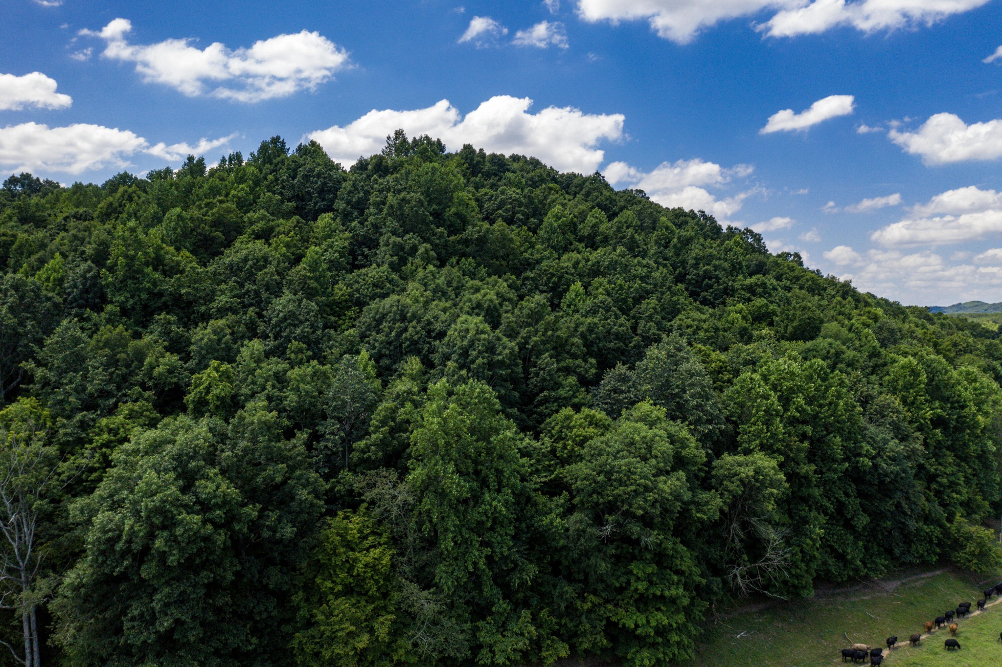 1636 White Oak Road, NW Cleveland TN 37312