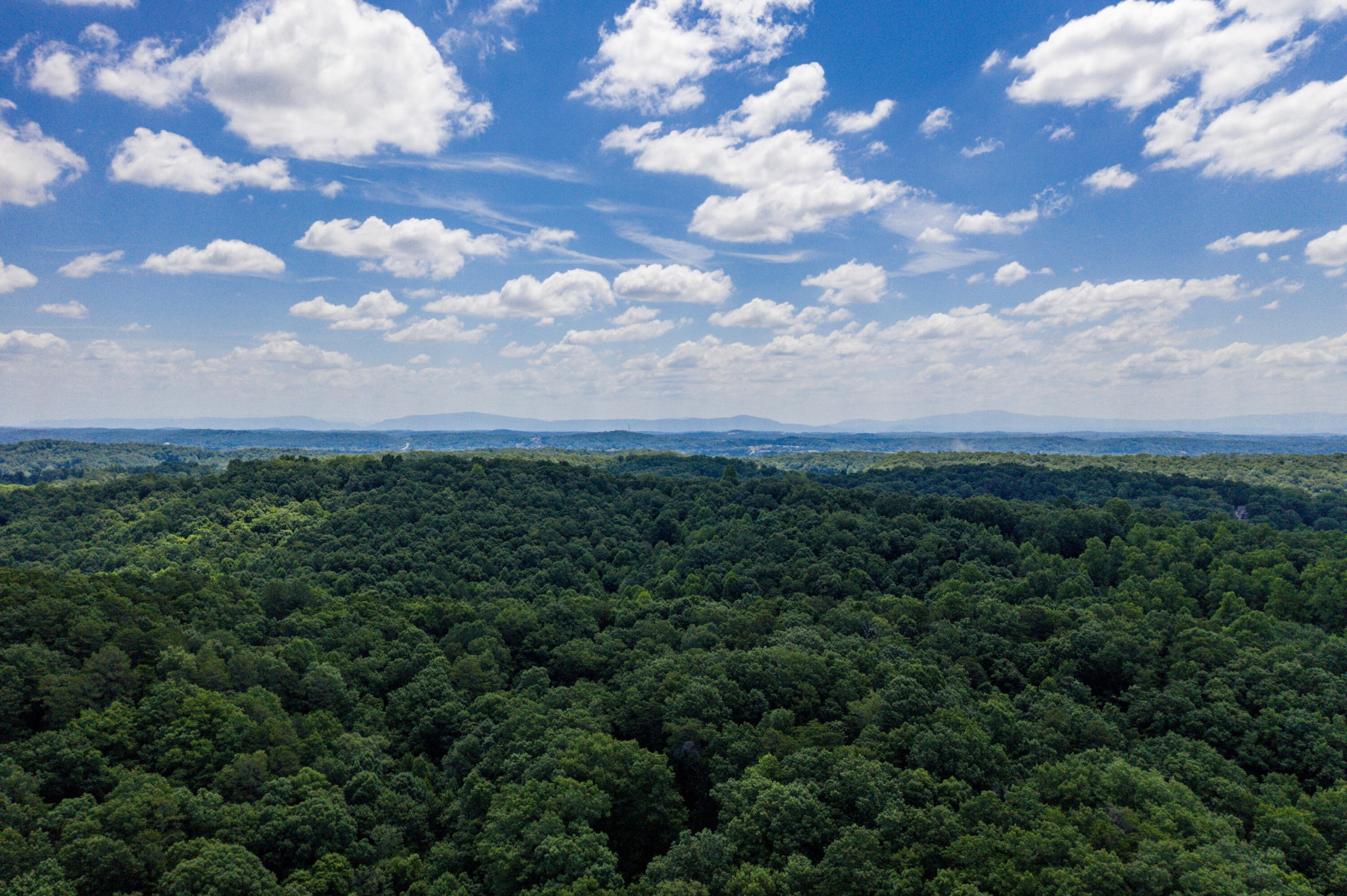 1636 White Oak Road, NW Cleveland TN 37312