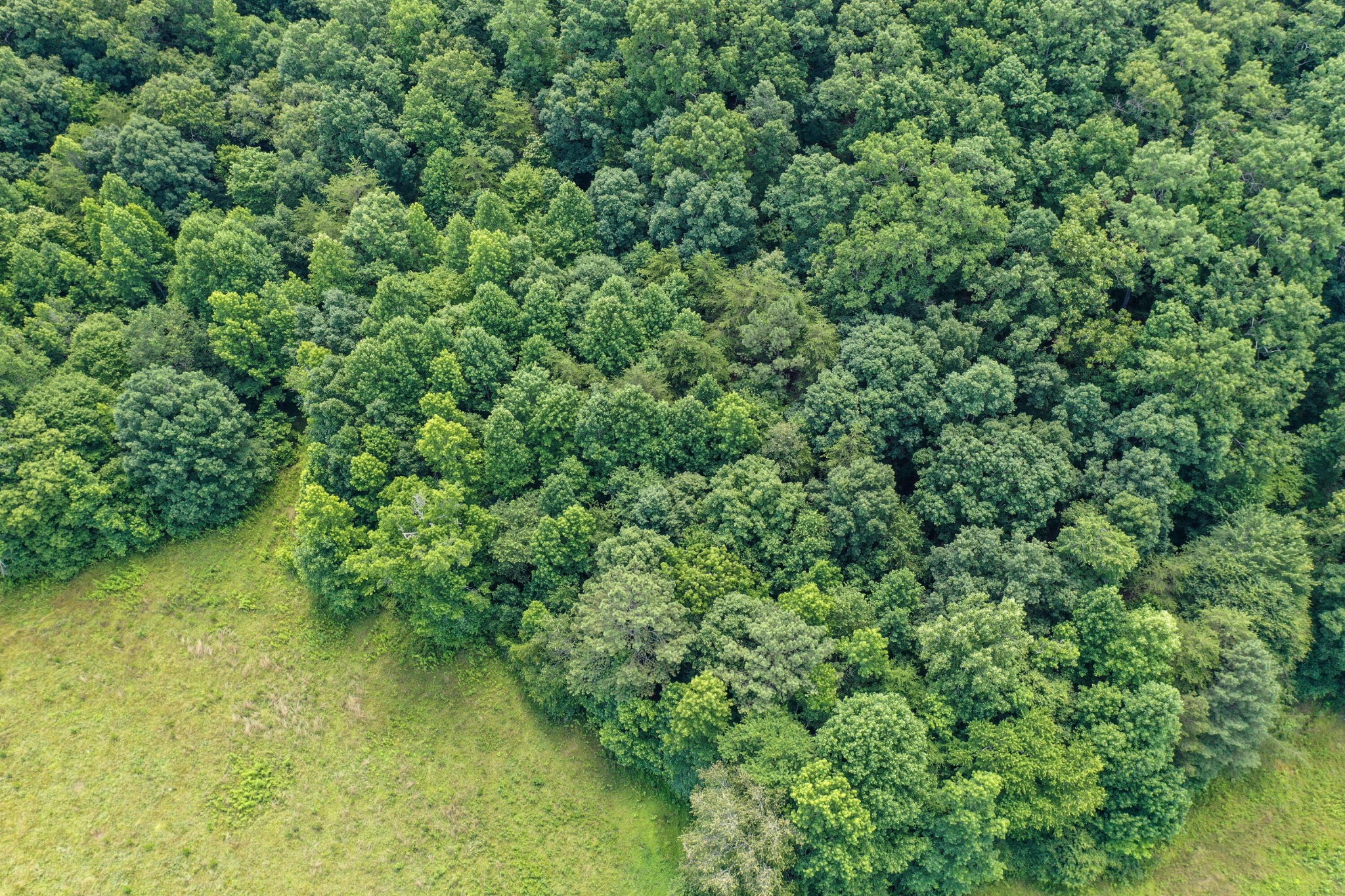 1636 White Oak Road, NW Cleveland TN 37312
