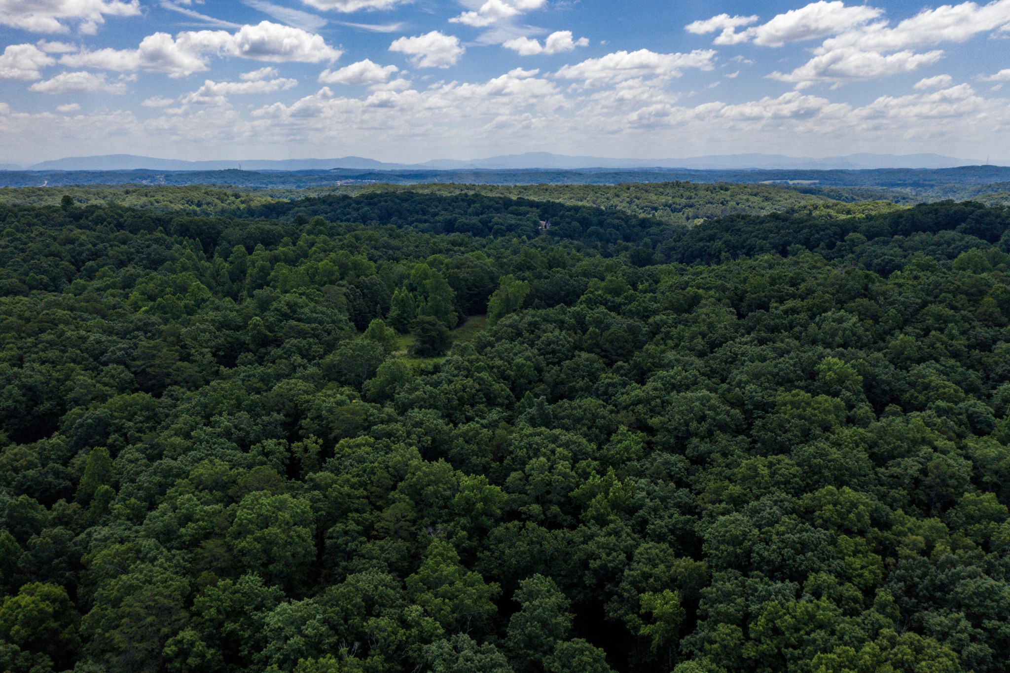 1636 White Oak Road, NW Cleveland TN 37312
