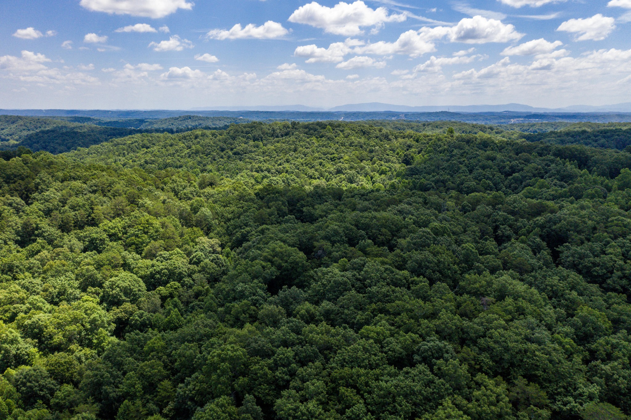 1636 White Oak Road, NW Cleveland TN 37312