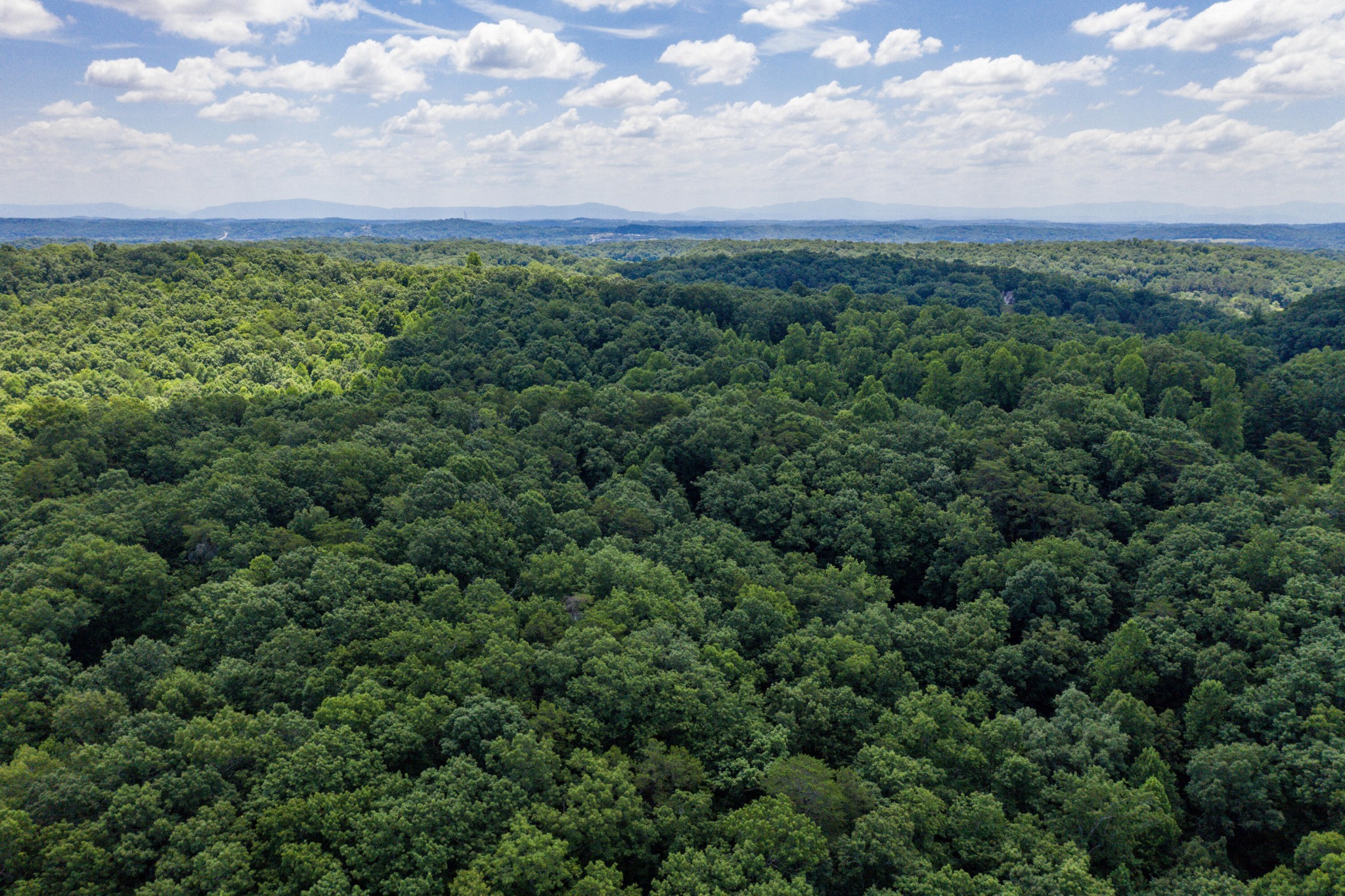 1636 White Oak Road, NW Cleveland TN 37312