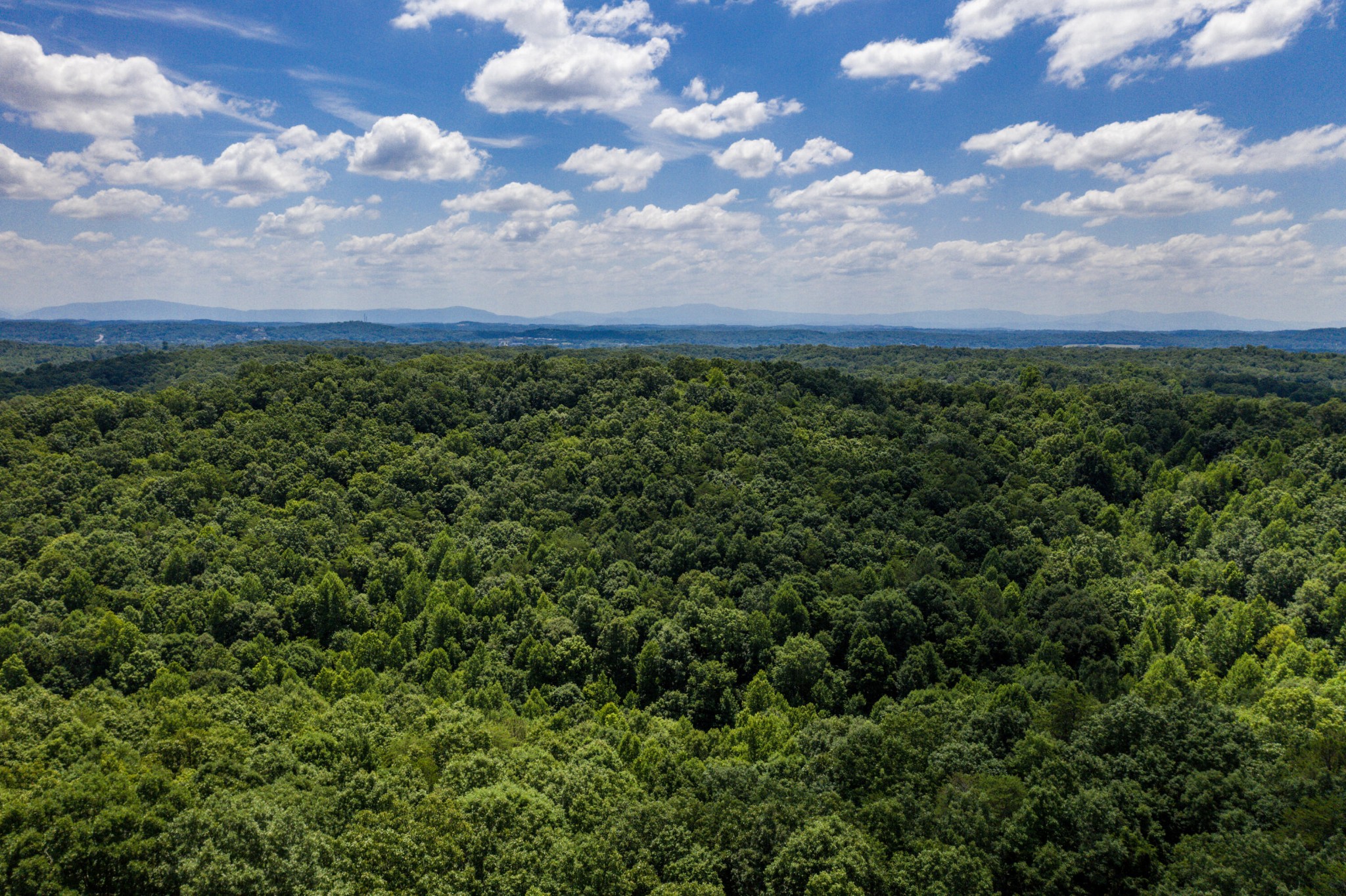 1636 White Oak Road, NW Cleveland TN 37312