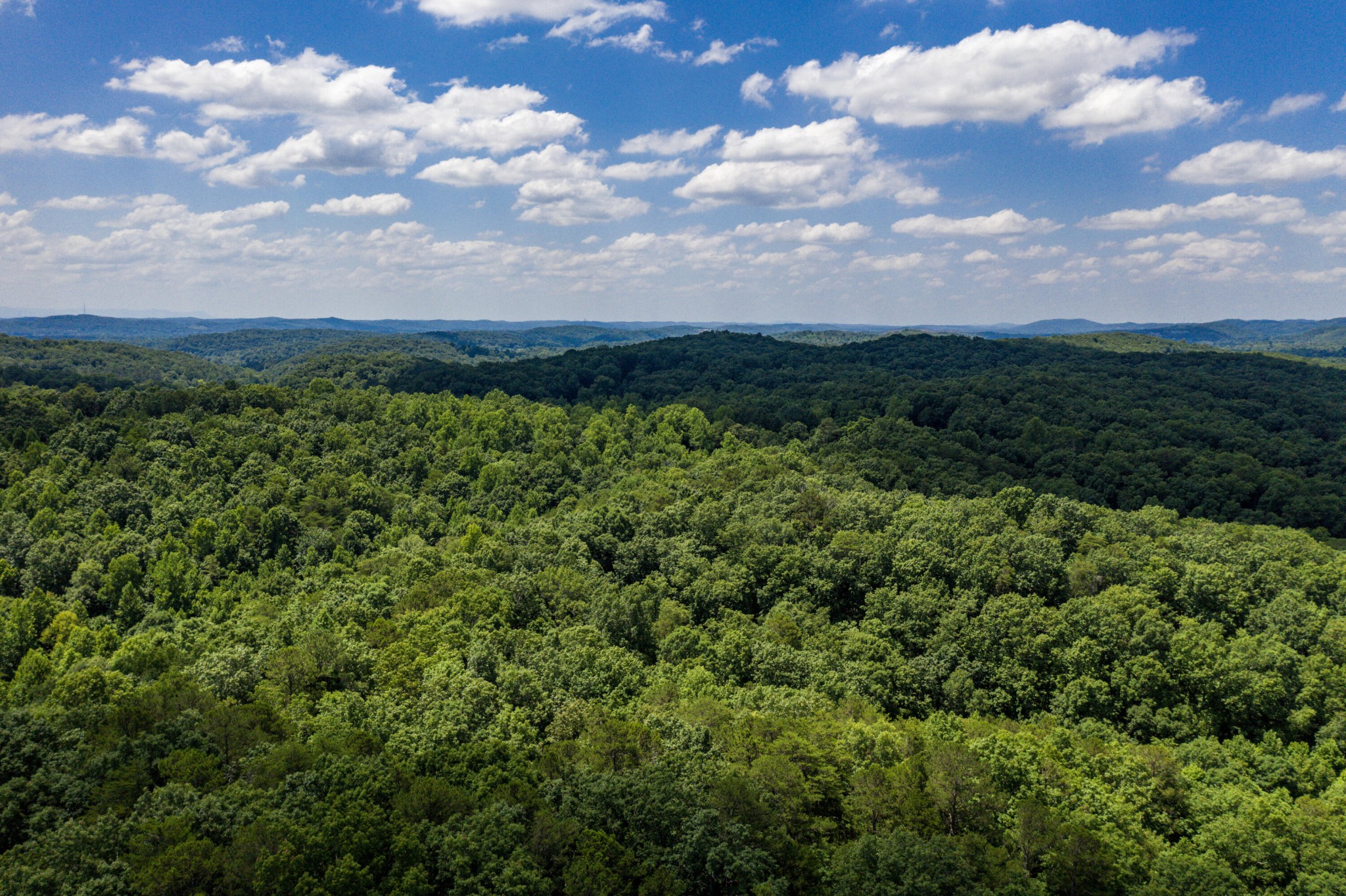 1636 White Oak Road, NW Cleveland TN 37312