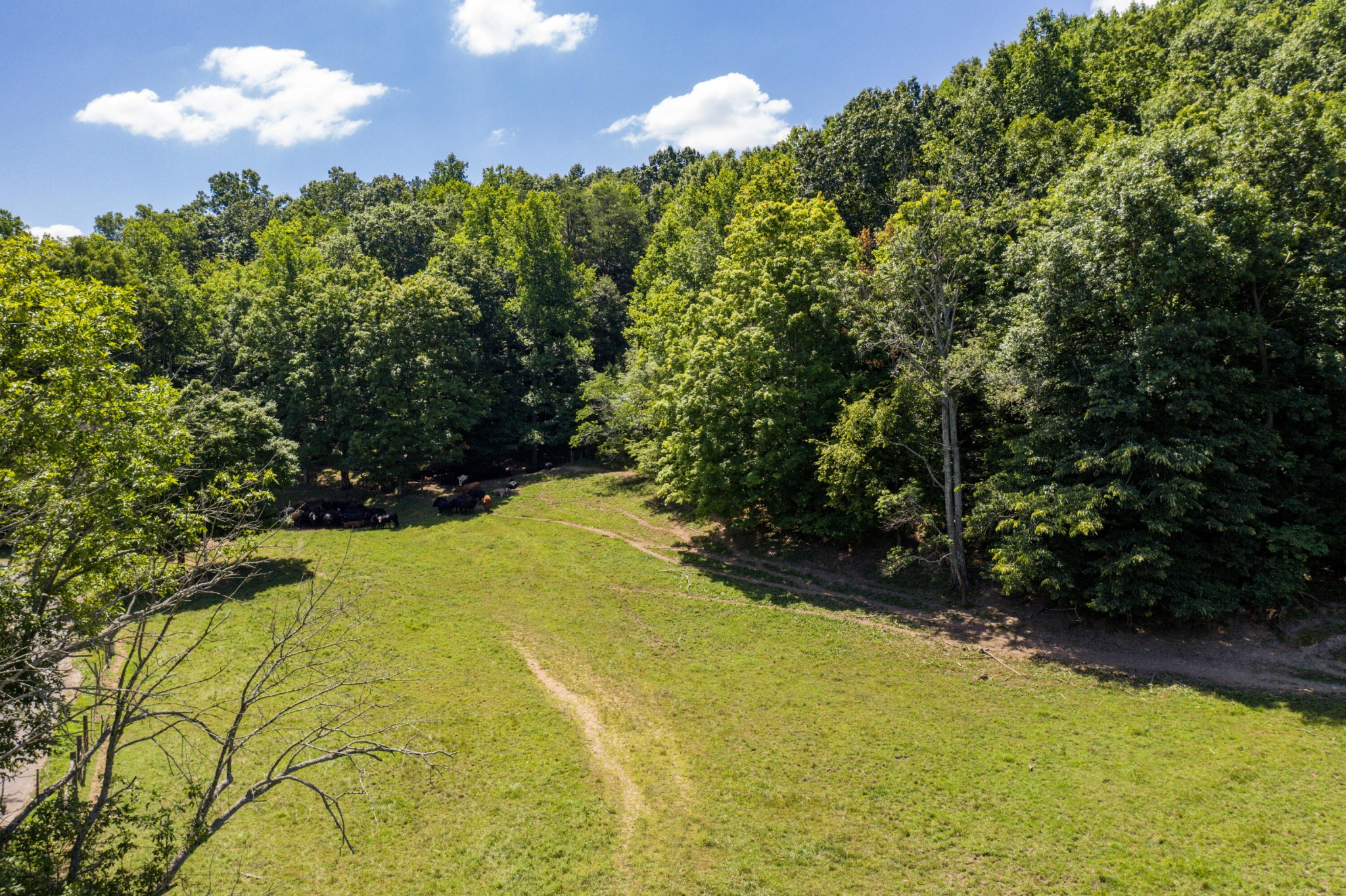 1636 White Oak Road, NW Cleveland TN 37312