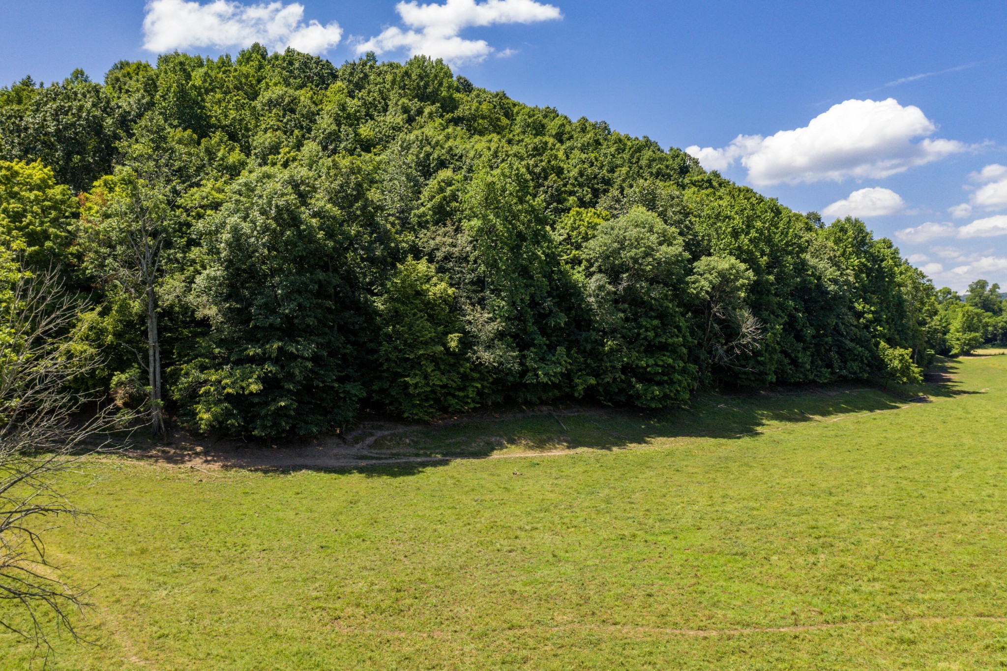 1636 White Oak Road, NW Cleveland TN 37312
