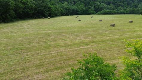 0 Dry Creek Road Dowelltown TN 37059