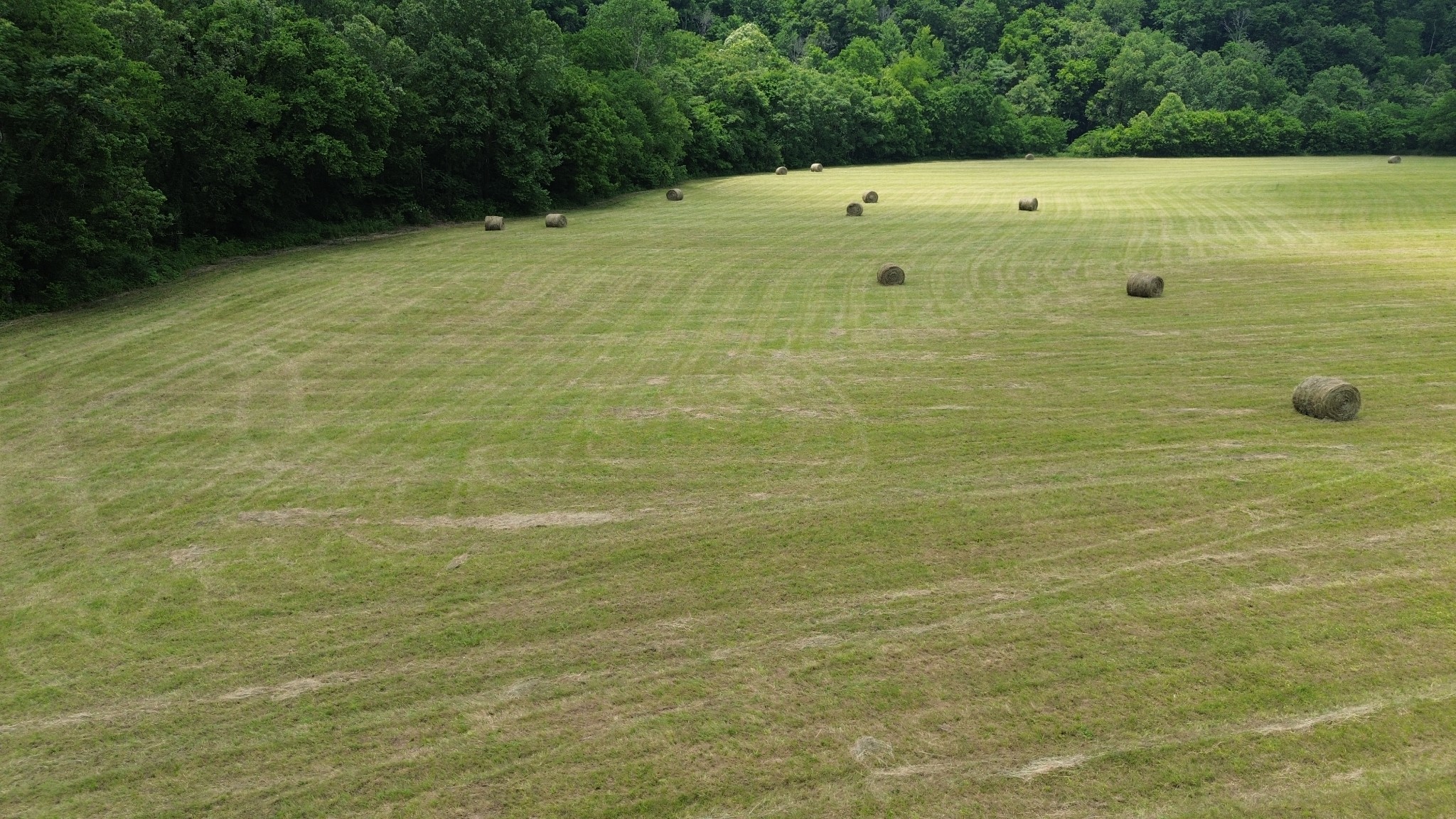 0 Dry Creek Road Dowelltown TN 37059