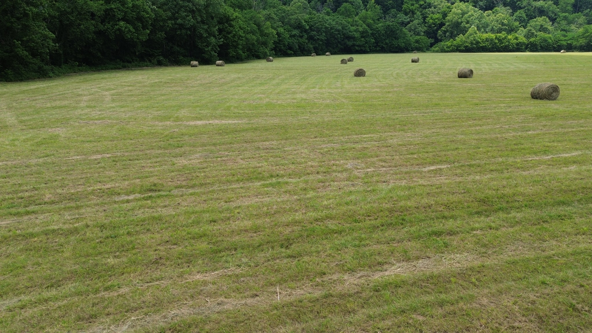 0 Dry Creek Road Dowelltown TN 37059