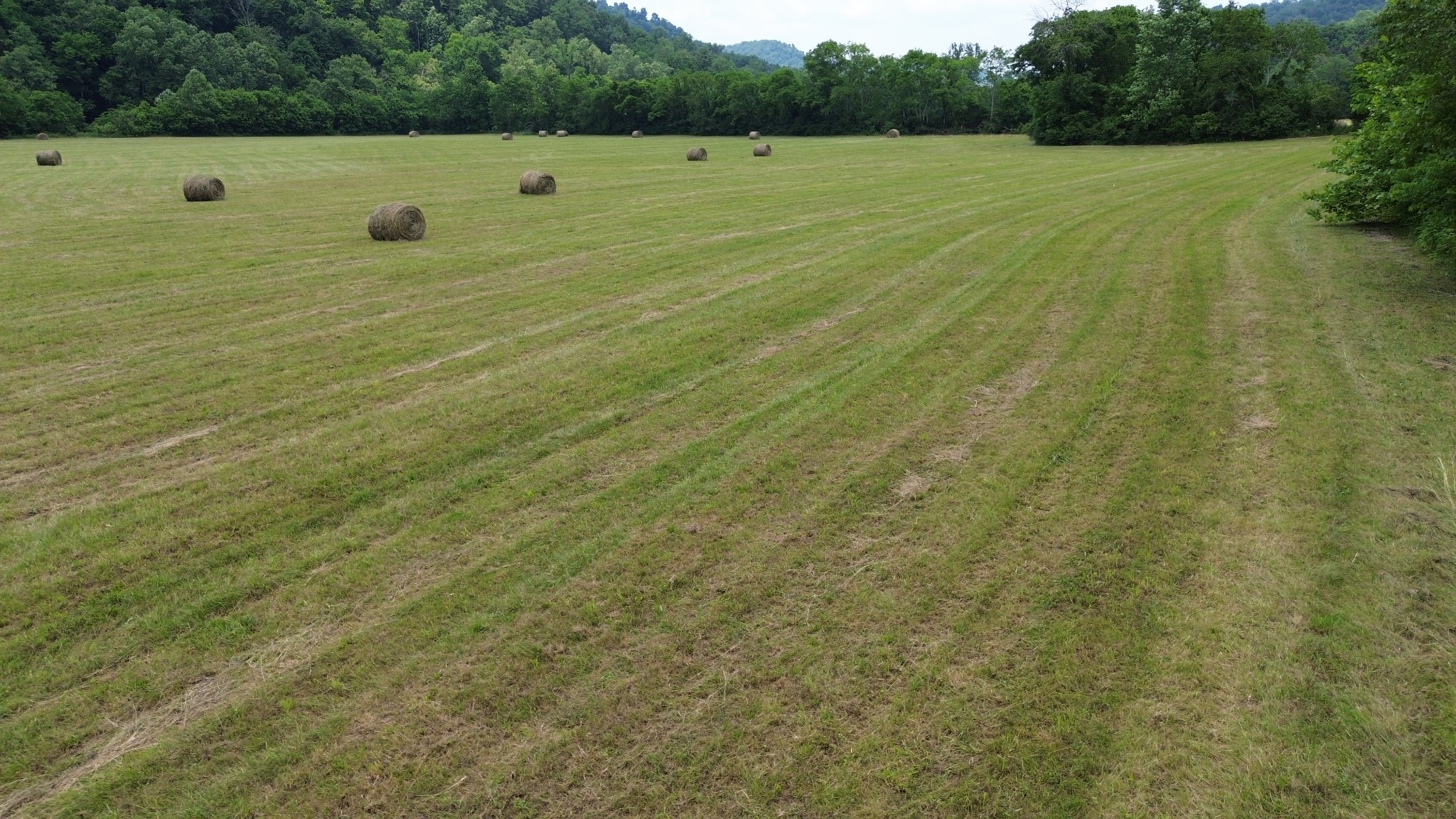 0 Dry Creek Road Dowelltown TN 37059