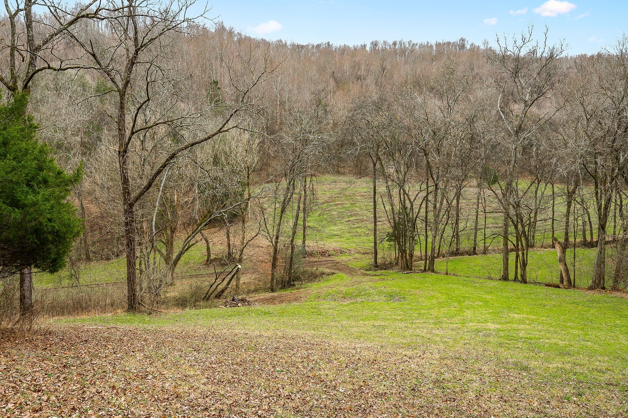 0 Lancaster Highway Hickman TN 38567