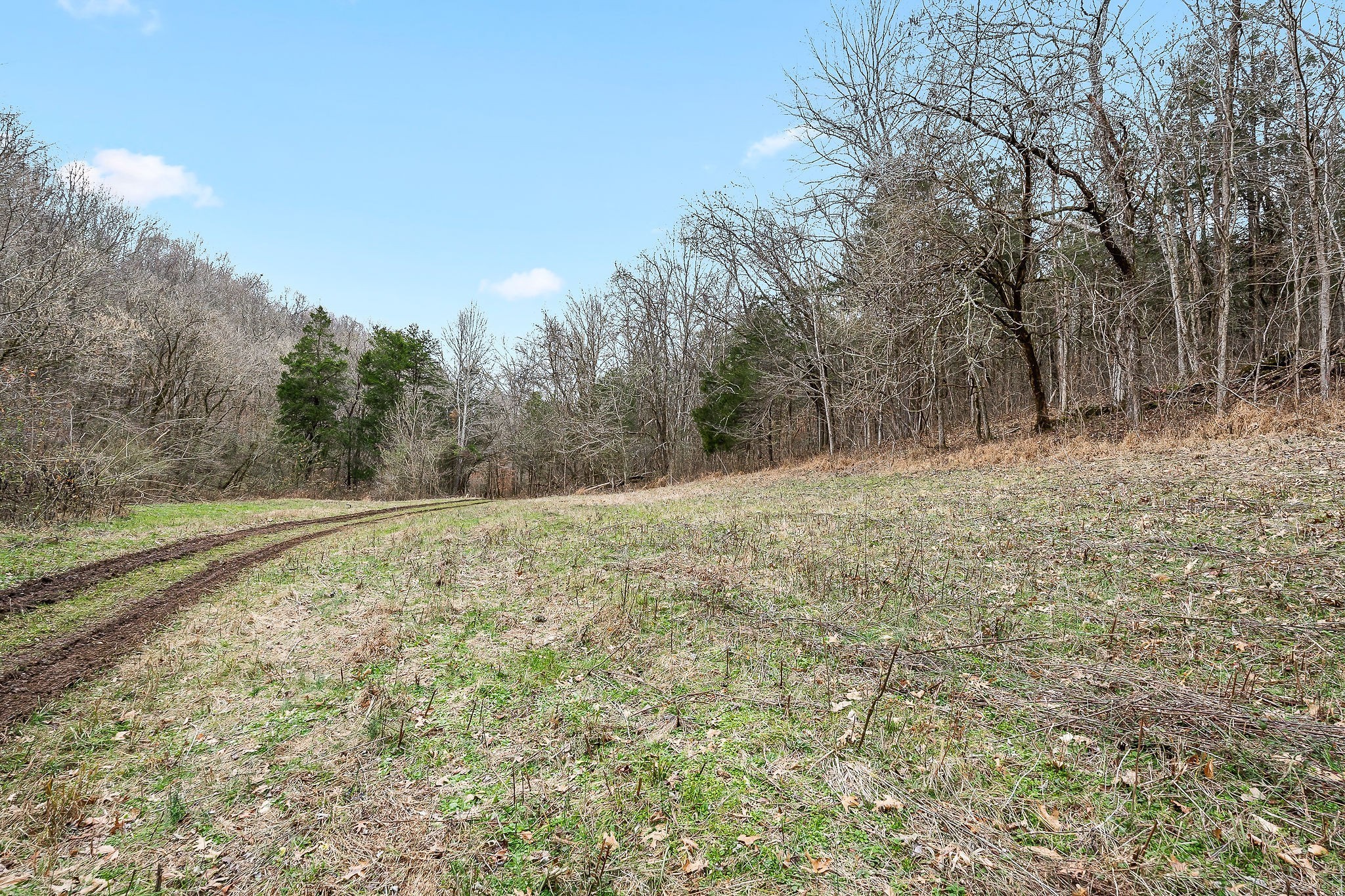0 Lancaster Highway Hickman TN 38567