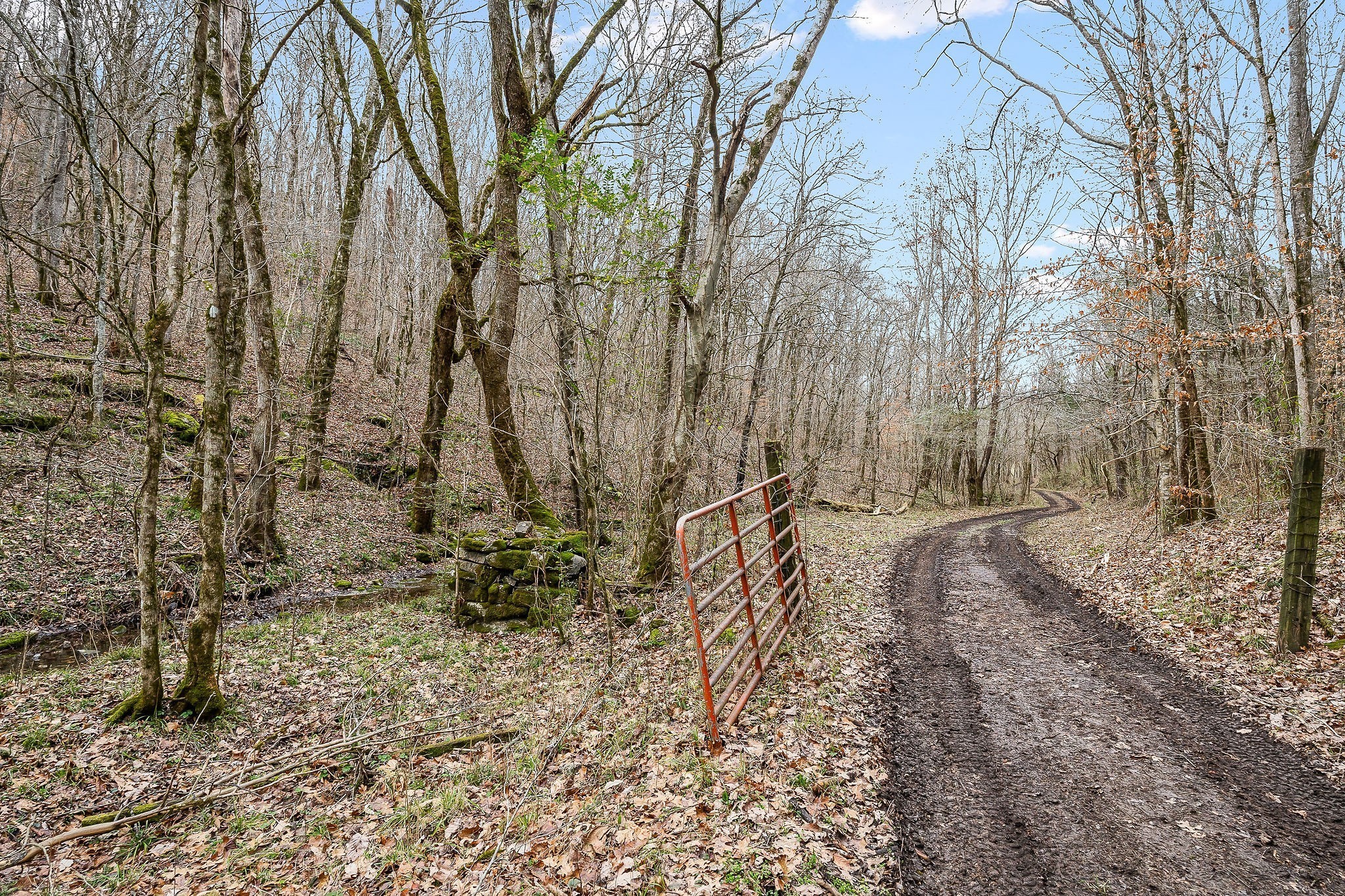 0 Lancaster Highway Hickman TN 38567