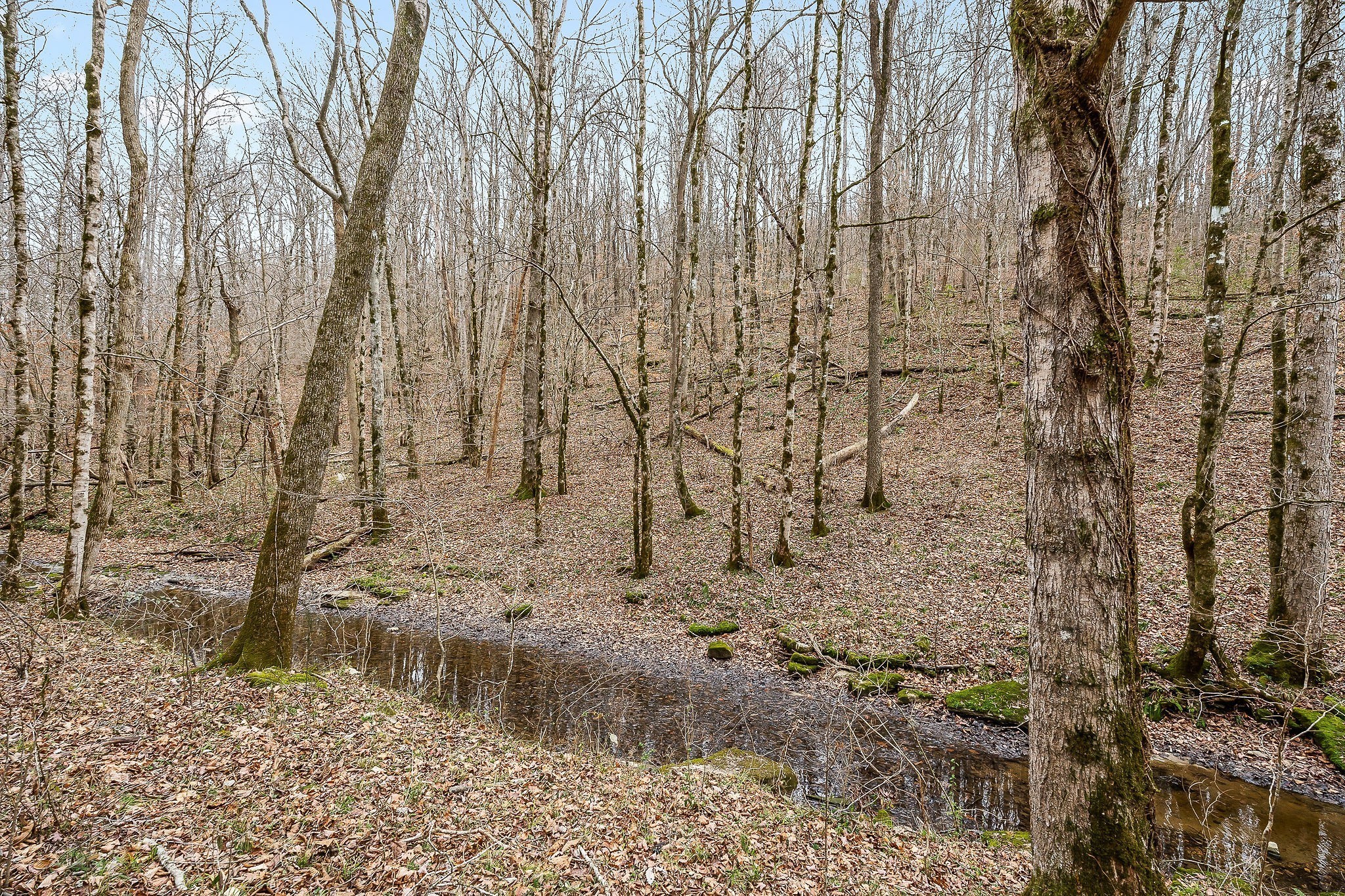 0 Lancaster Highway Hickman TN 38567