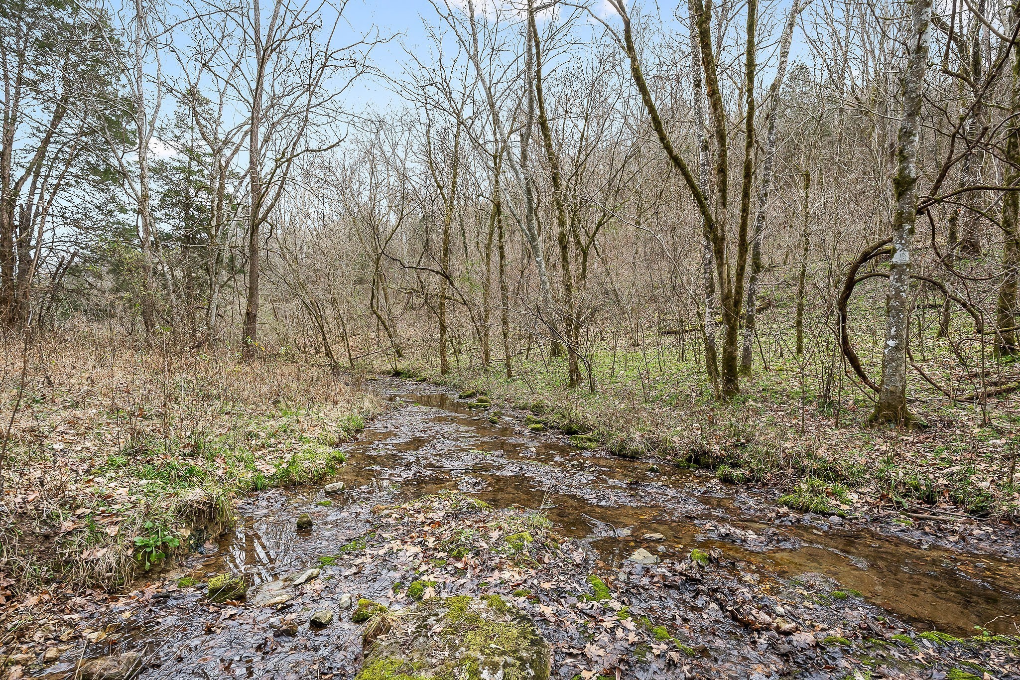 0 Lancaster Highway Hickman TN 38567