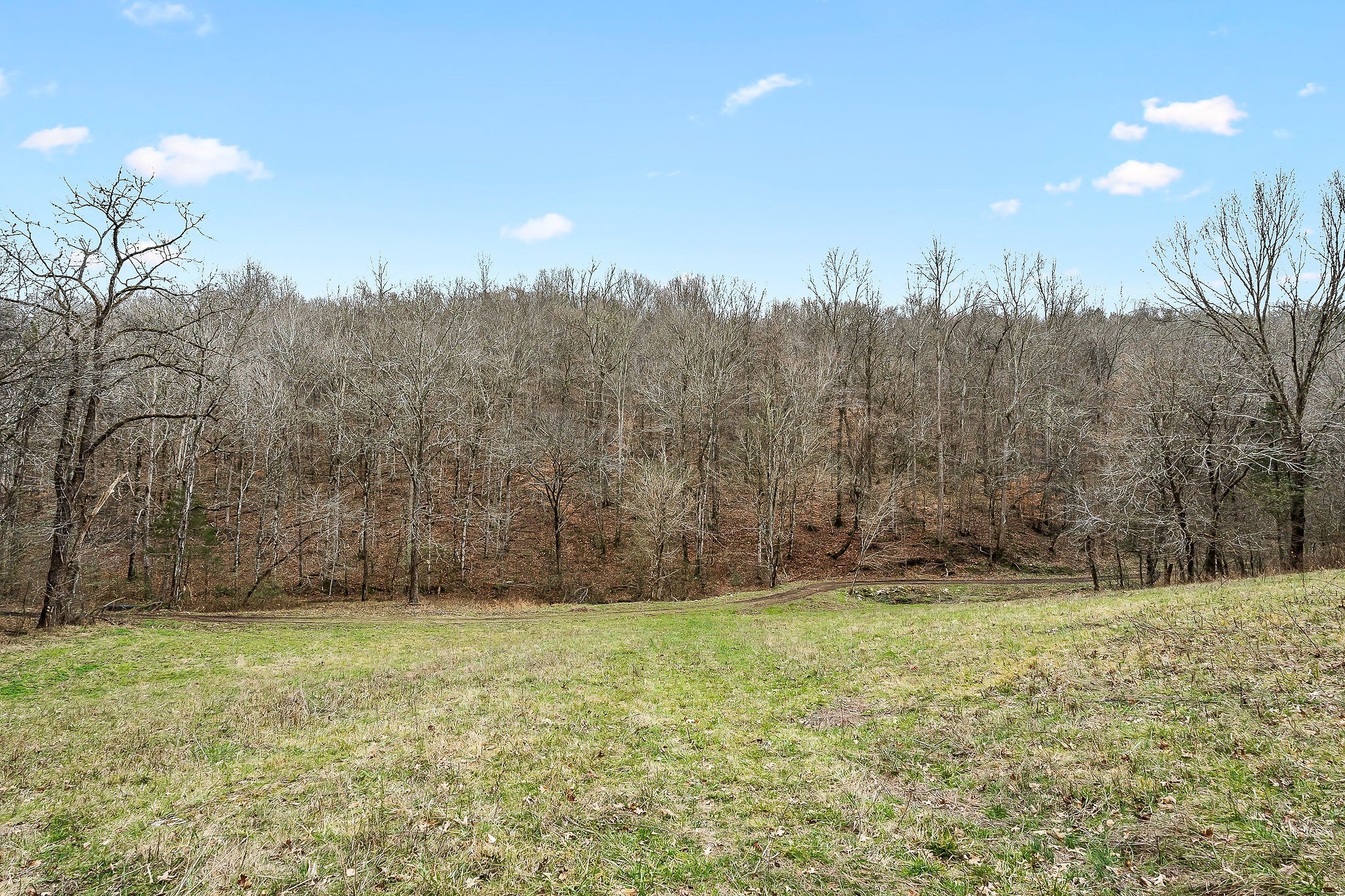 0 Lancaster Highway Hickman TN 38567
