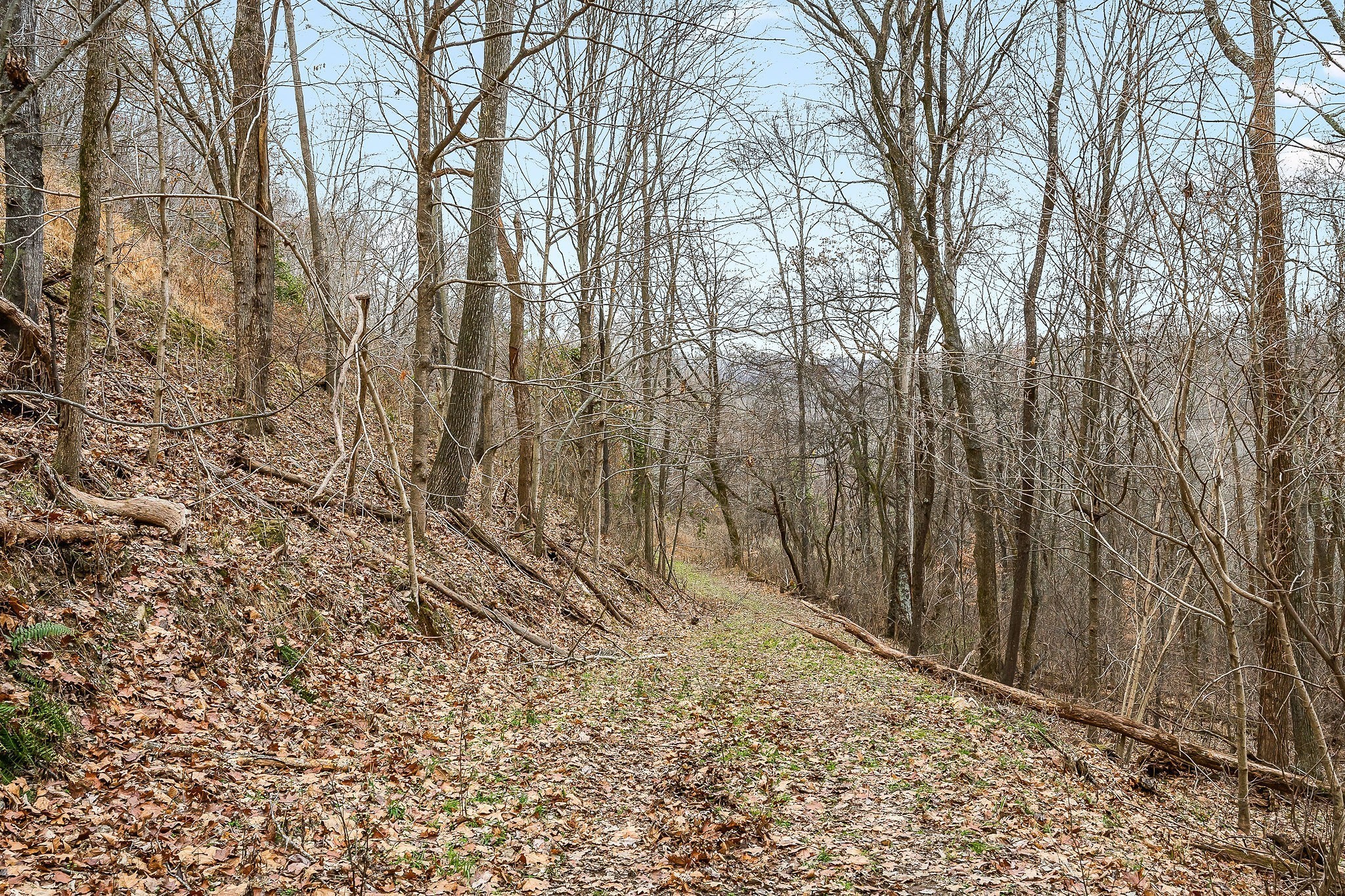 0 Lancaster Highway Hickman TN 38567