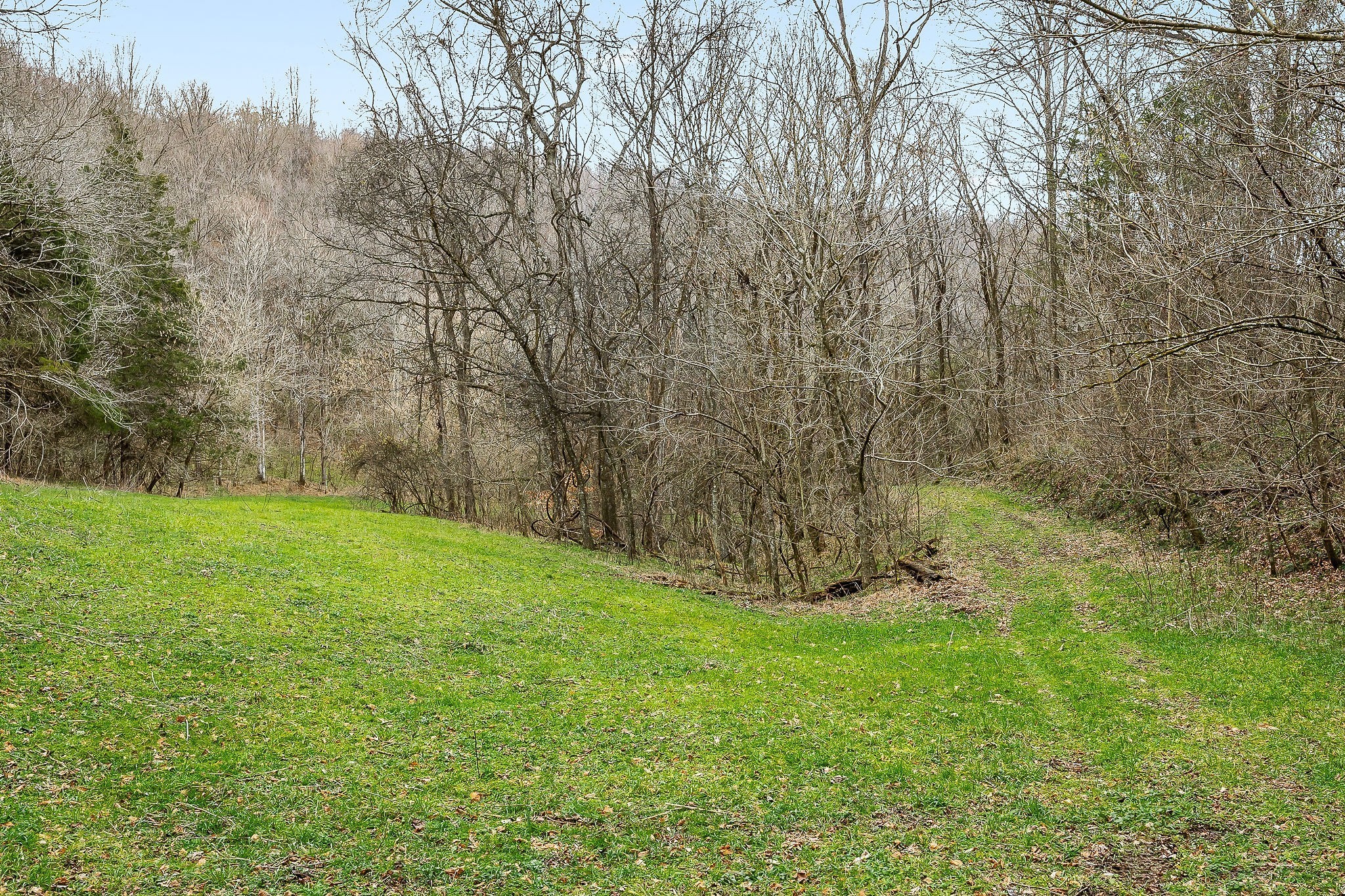 0 Lancaster Highway Hickman TN 38567