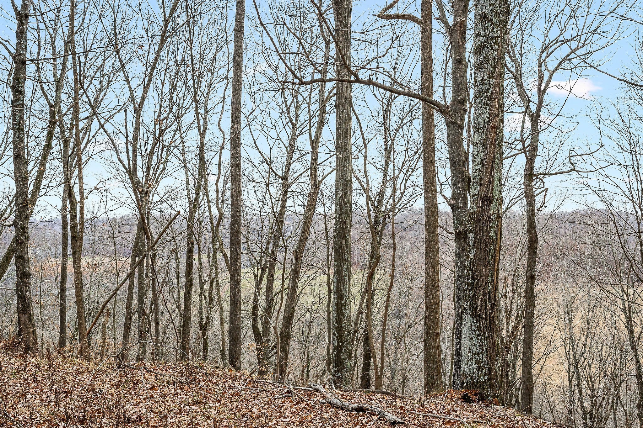 0 Lancaster Highway Hickman TN 38567